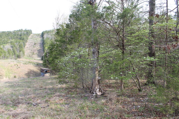 000 County Road 831 Property Photo 1