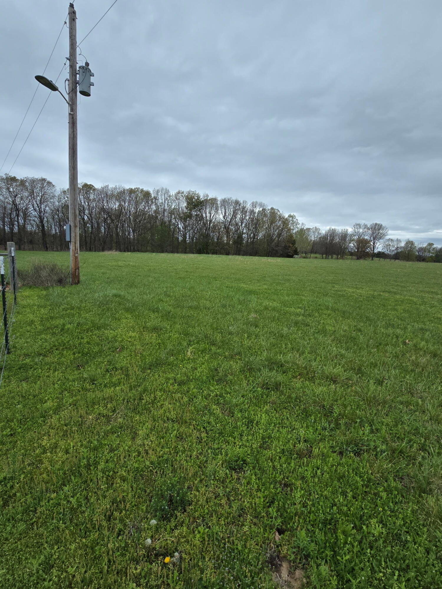 000 Adams Lane Property Photo 4