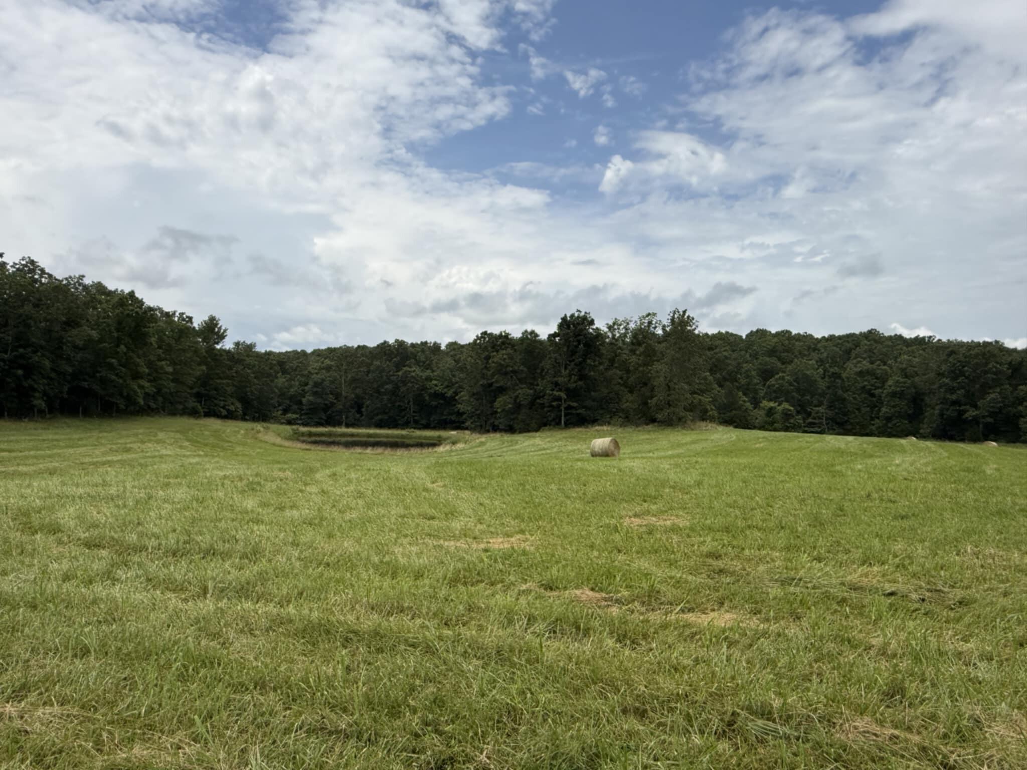 5748 County Road 3850 Property Photo 3
