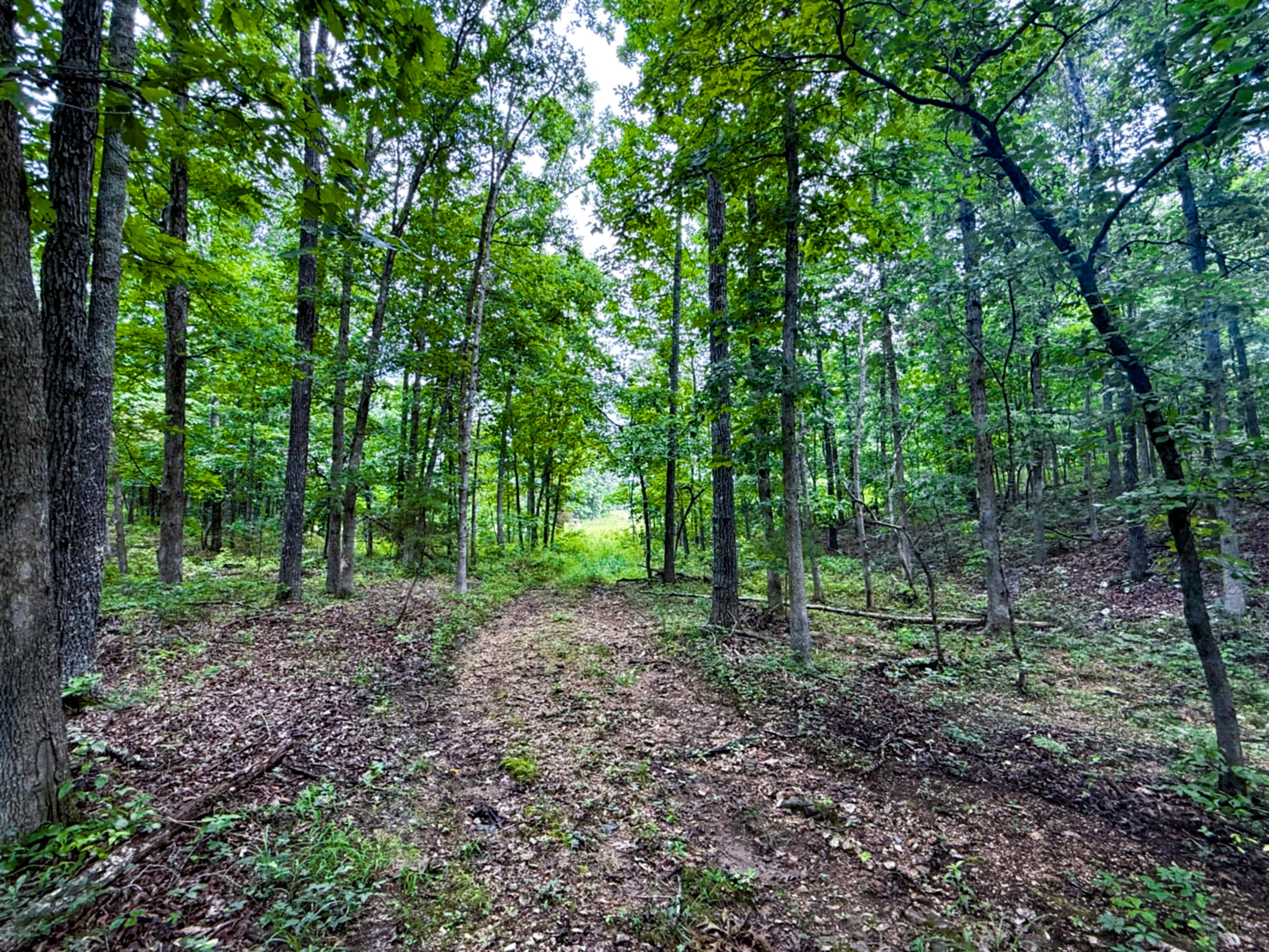 5748 County Road 3850 Property Photo 5