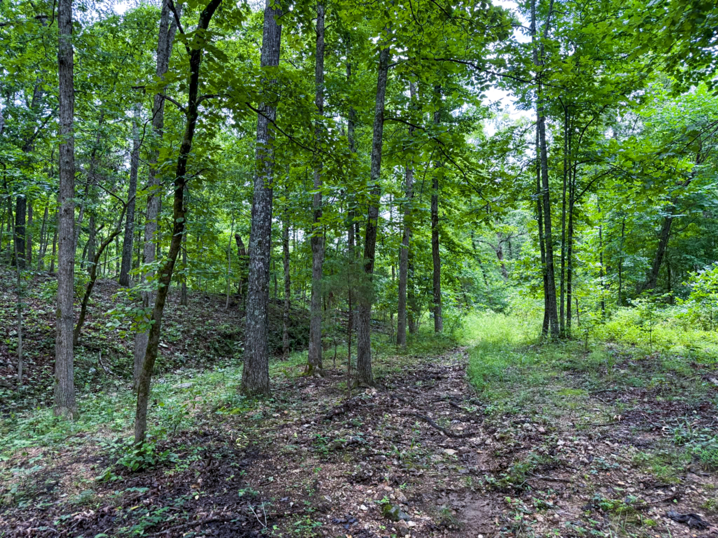 5748 County Road 3850 Property Photo 6
