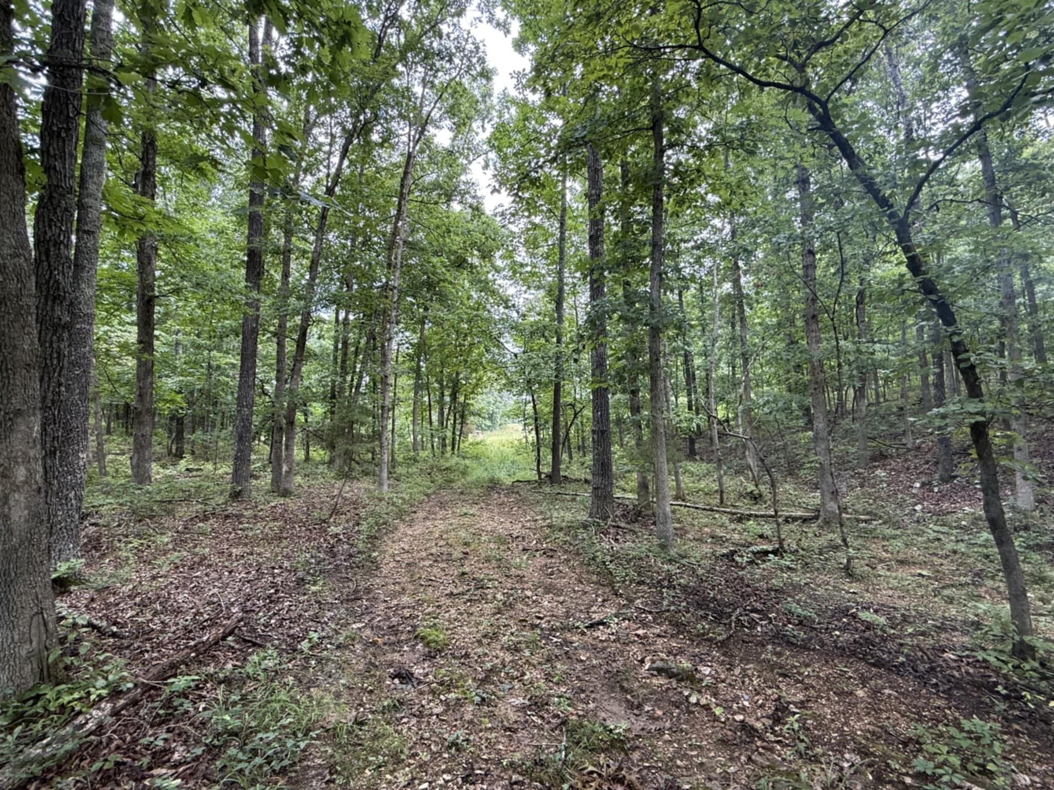 5748 County Road 3850 Property Photo 7