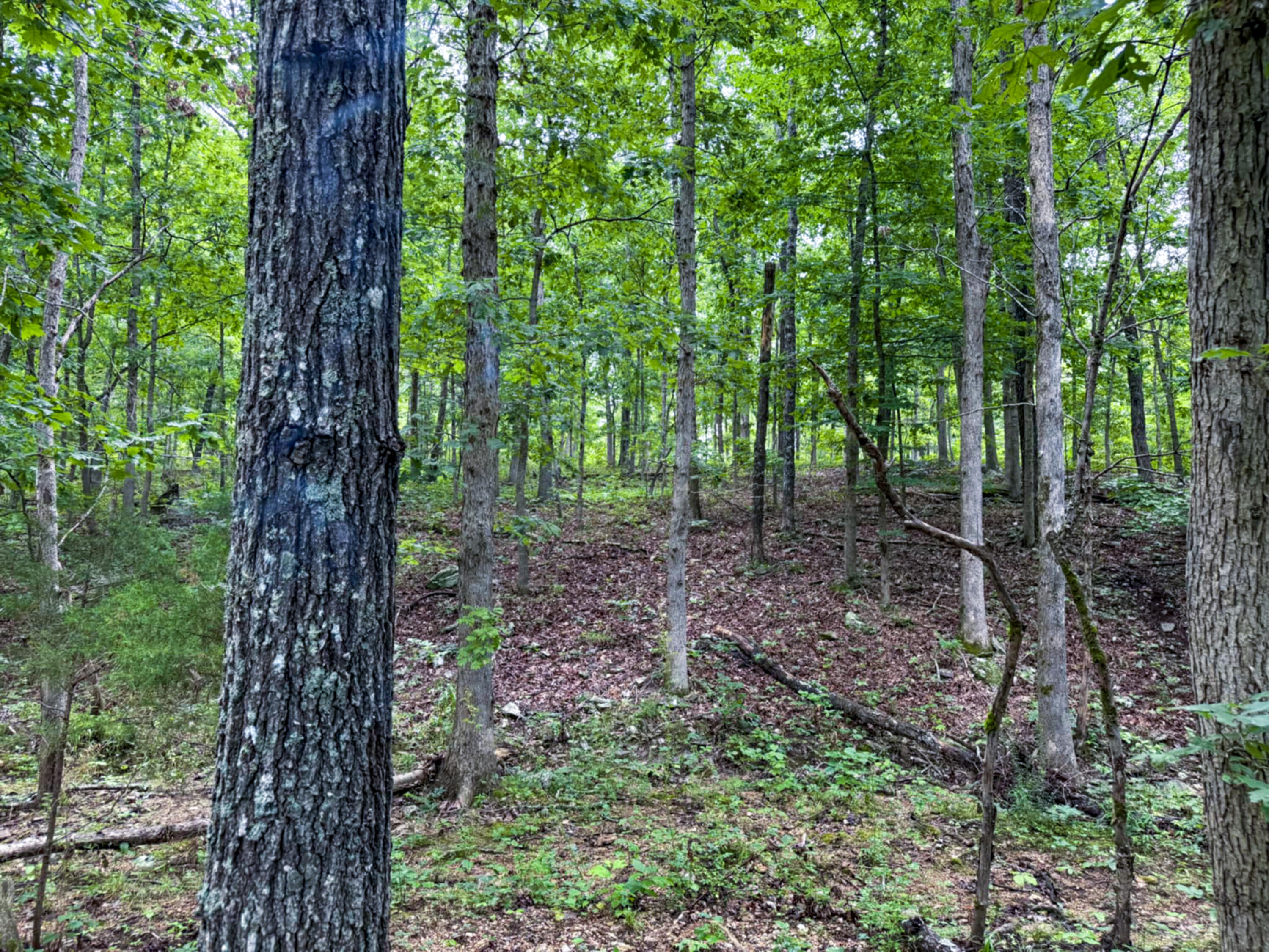 5748 County Road 3850 Property Photo 8
