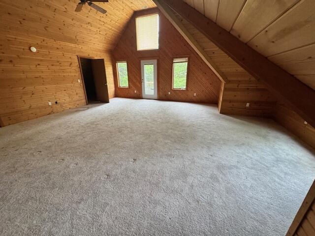 3725 State Highway Bb Property Photo 9