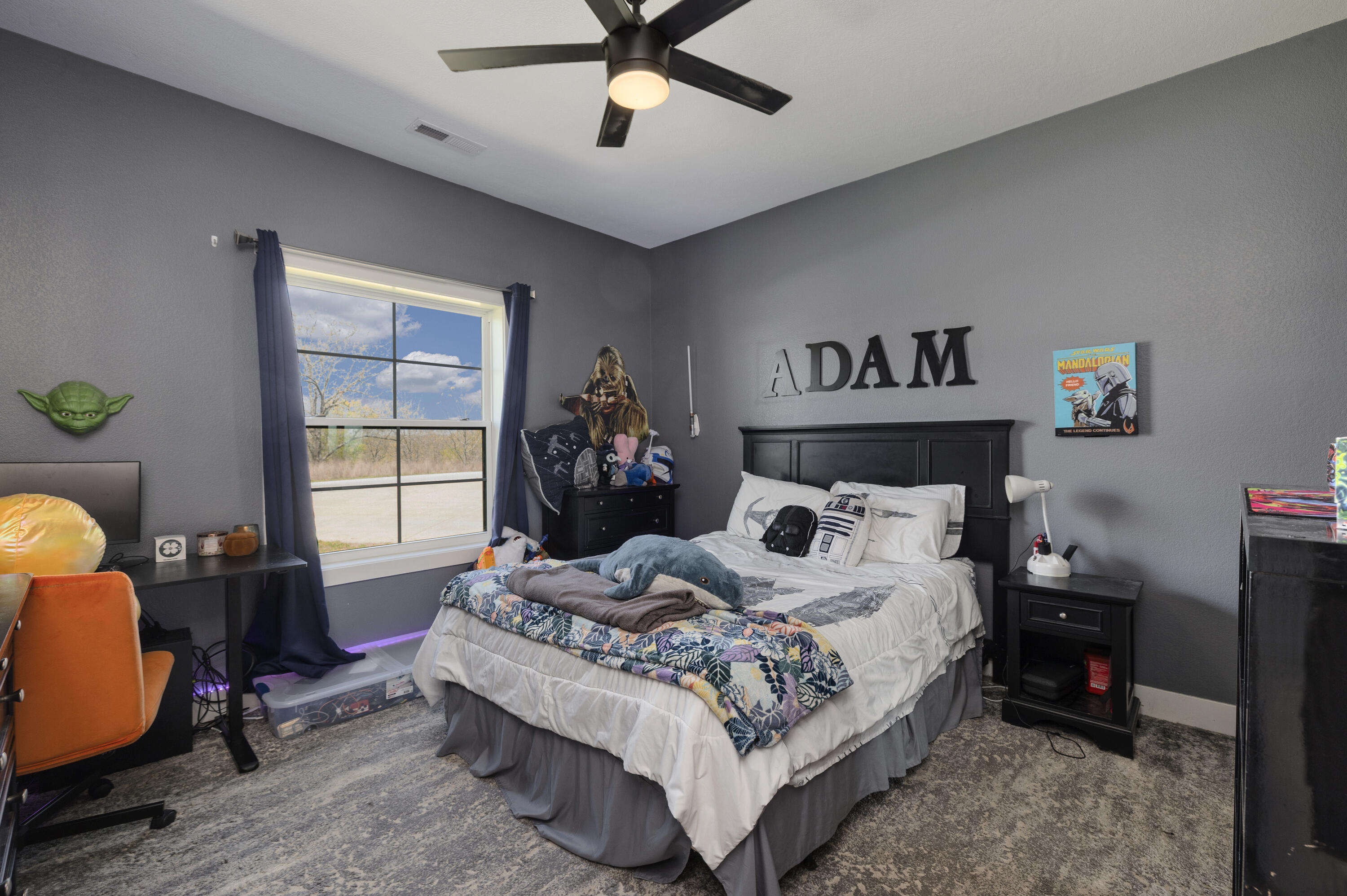226 Chalcedony Court Property Photo 49
