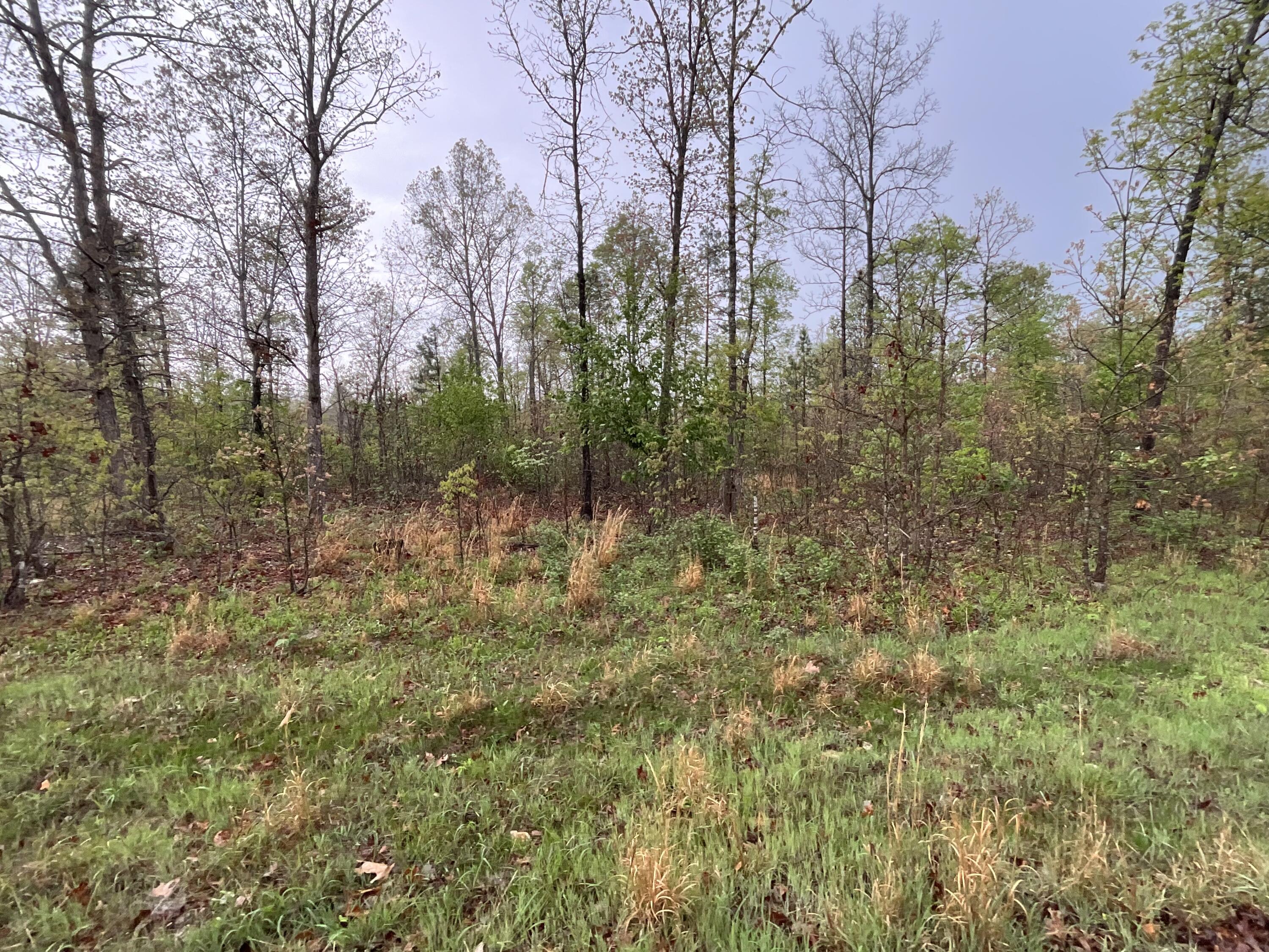 Lot 9 Lake Way Property Photo 1