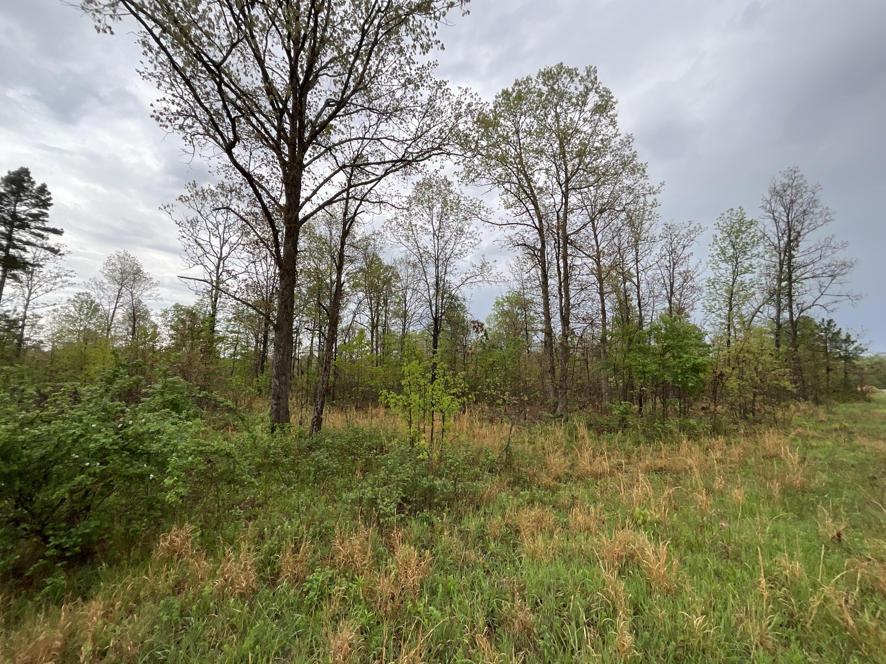 Lot 9 Lake Way Property Photo 2