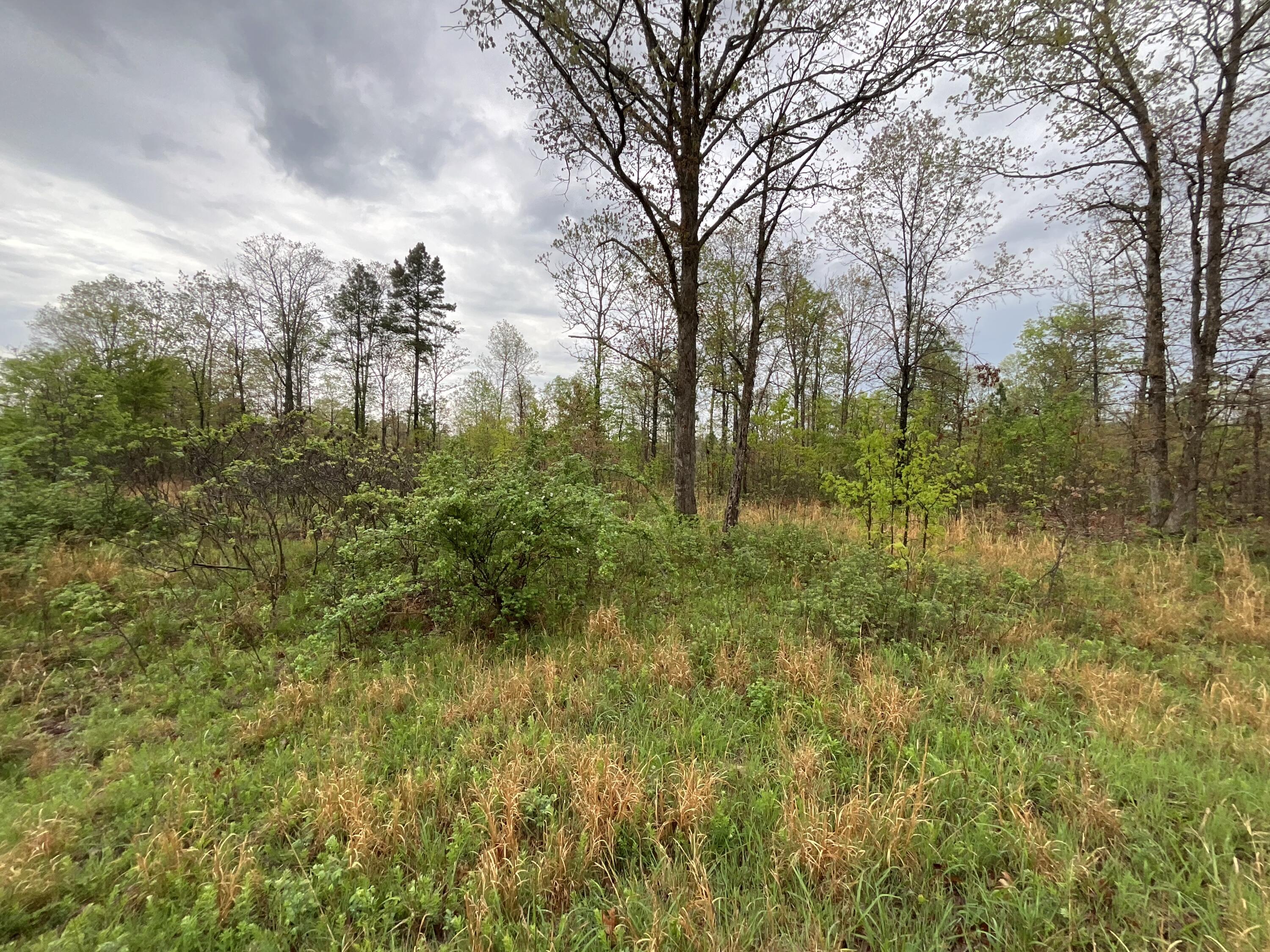 Lot 9 Lake Way Property Photo 3