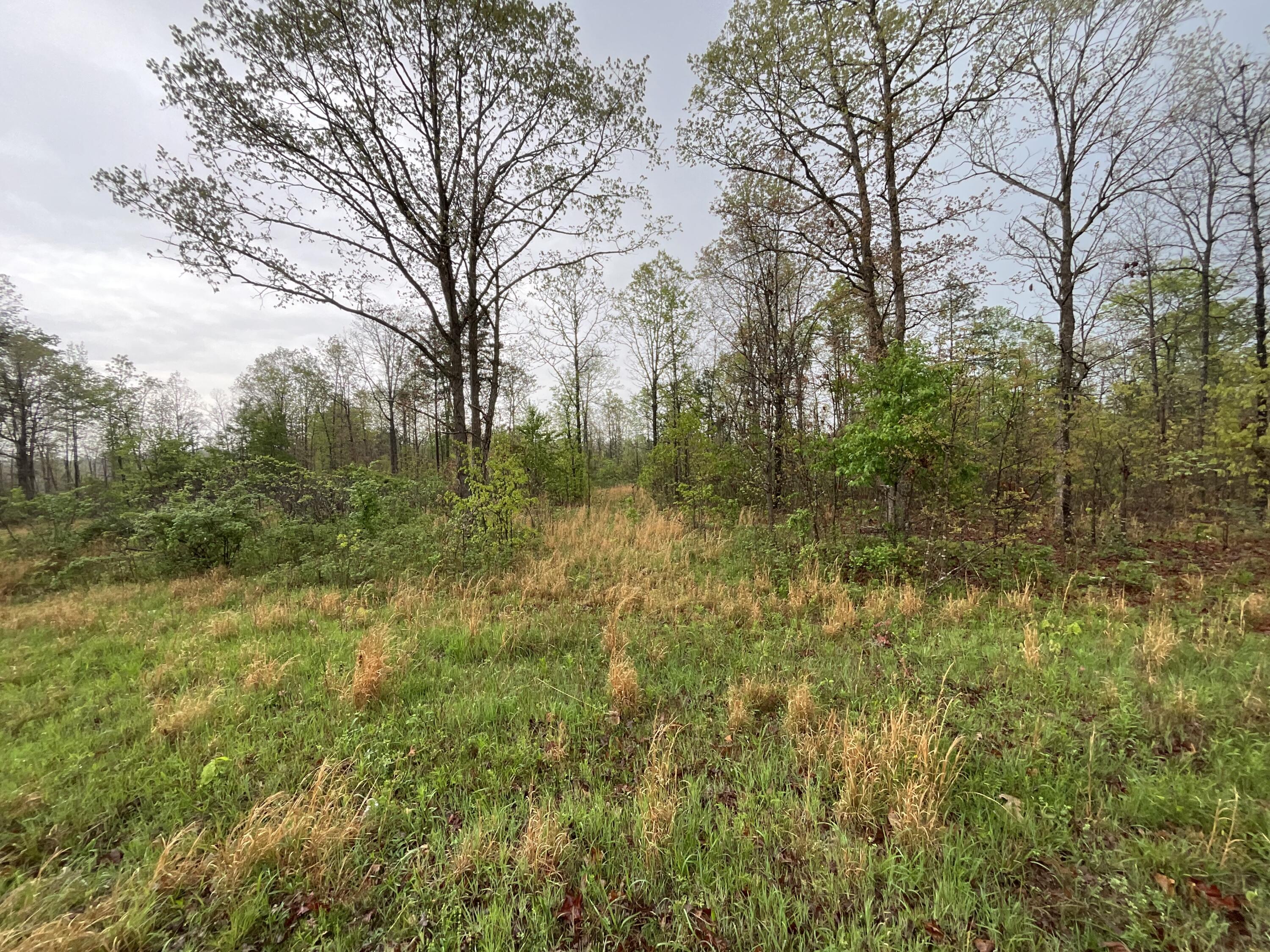 Lot 9 Lake Way Property Photo 4
