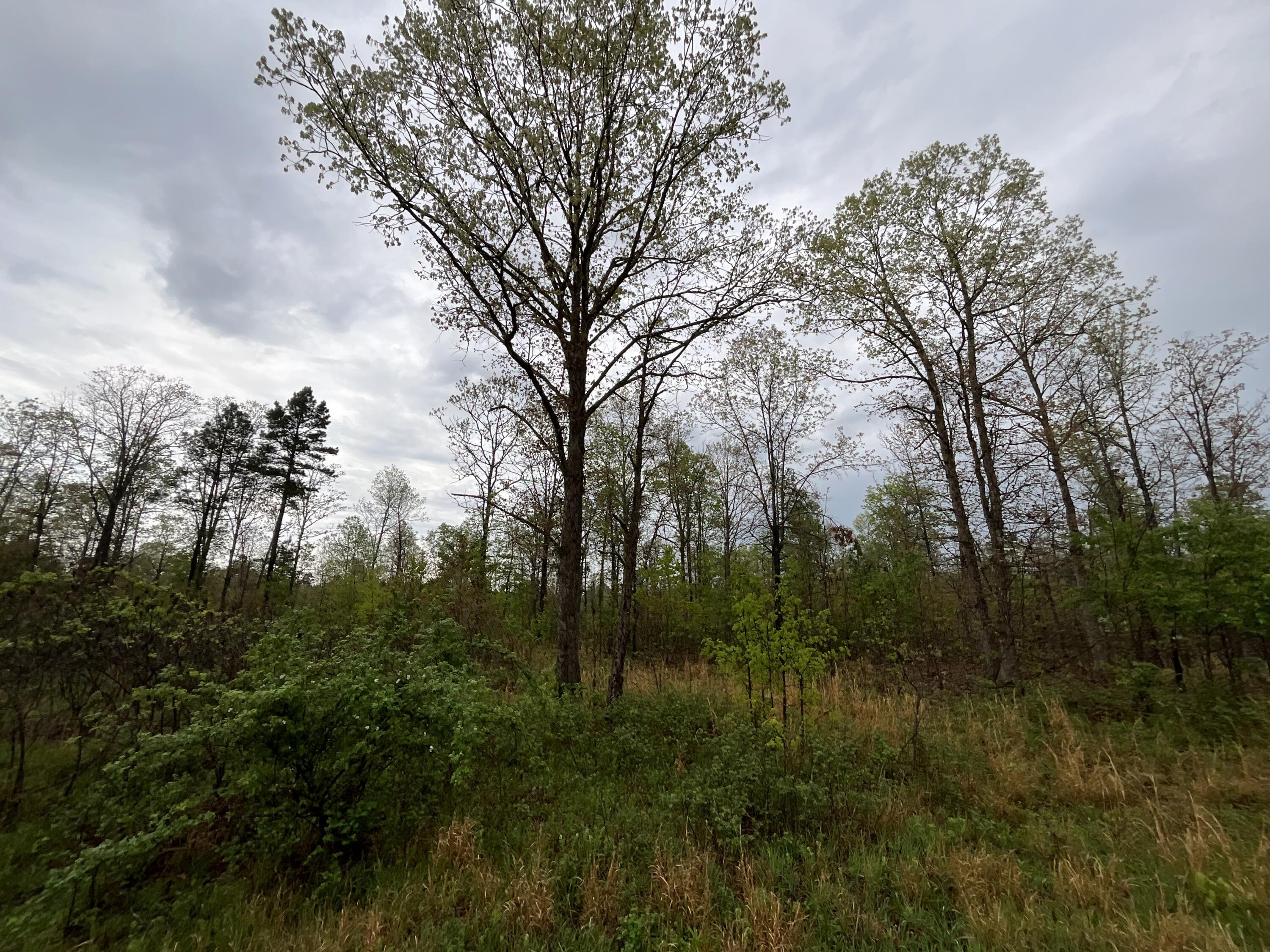 Lot 9 Lake Way Property Photo 9