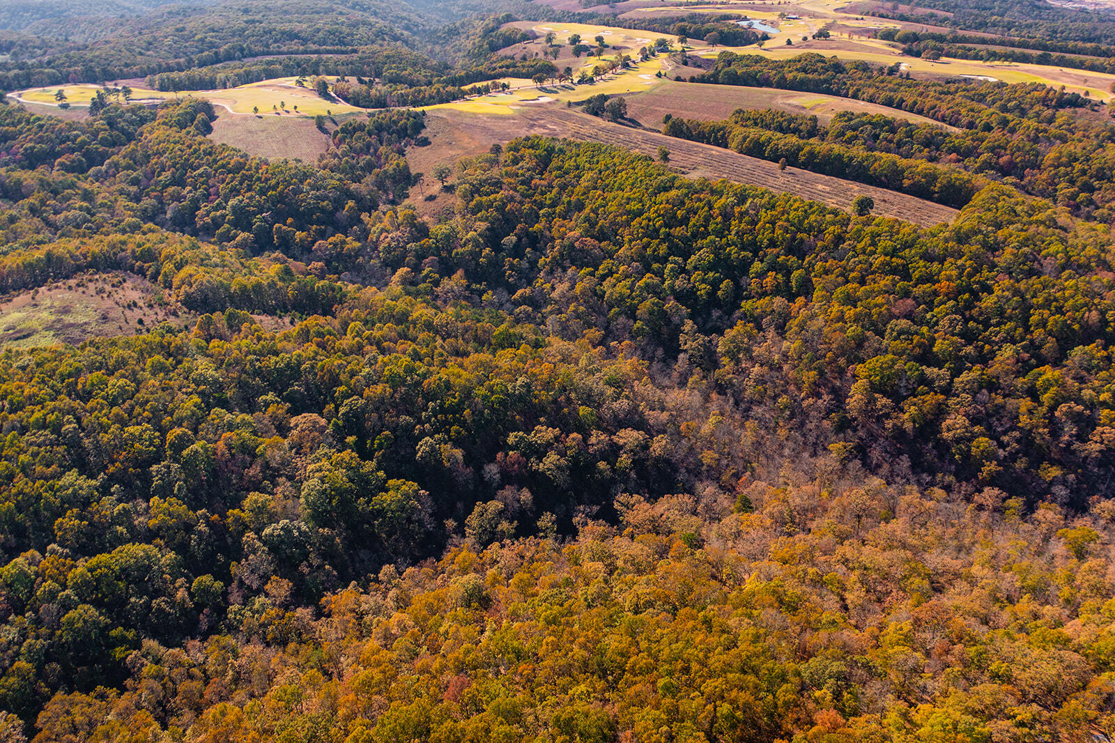 000 State Highway Jj Property Photo 4