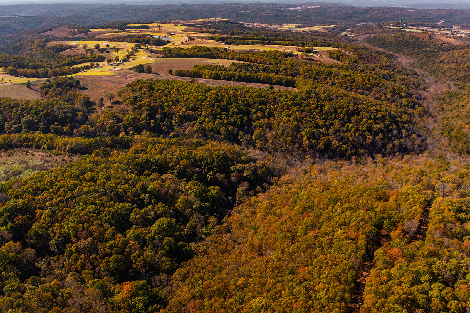 000 State Highway Jj Property Photo 5