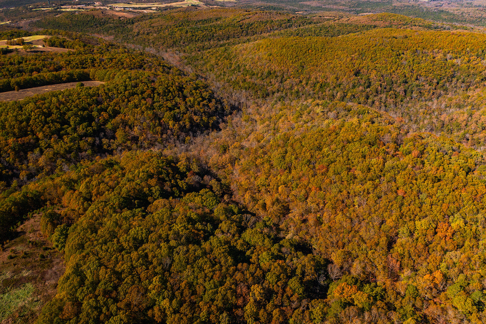 000 State Highway Jj Property Photo 6