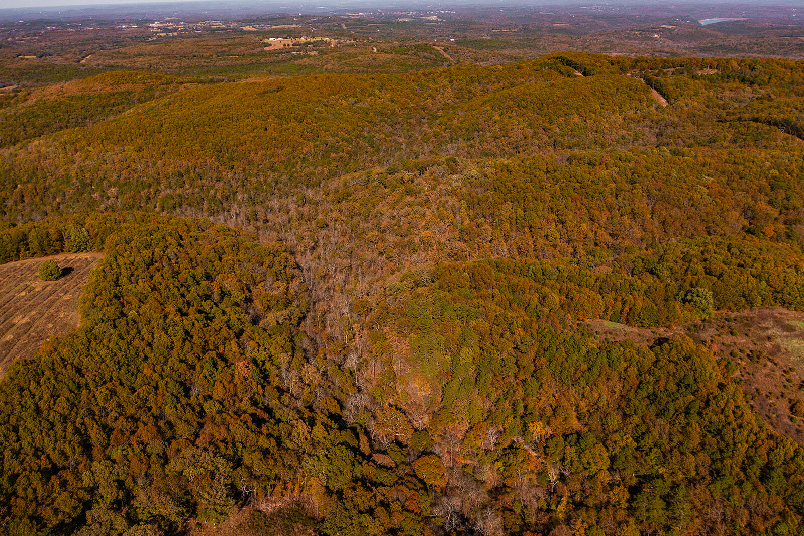 000 State Highway Jj Property Photo 8