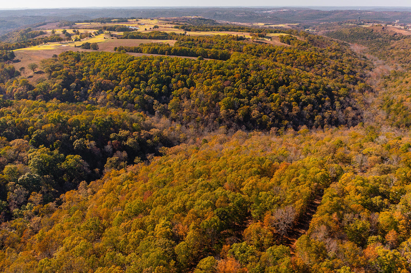 000 State Highway Jj Property Photo 9