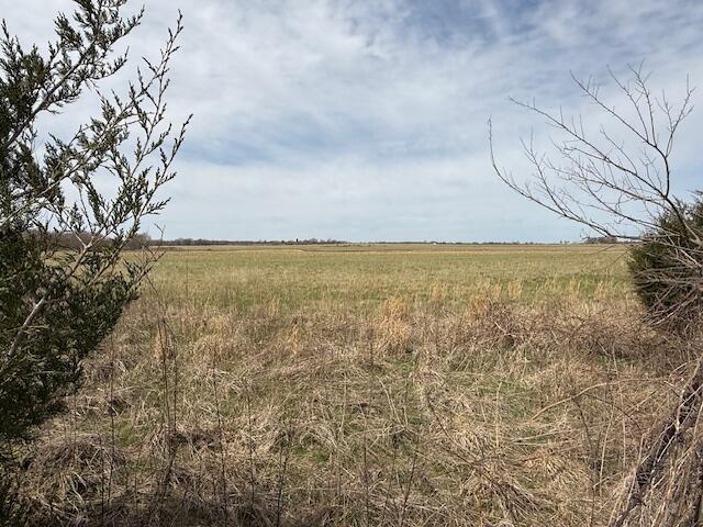 Xxx1 Nighthawk Road Property Photo 7