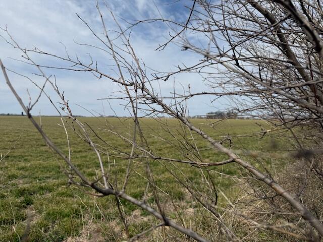 Xxx1 Nighthawk Road Property Photo 9