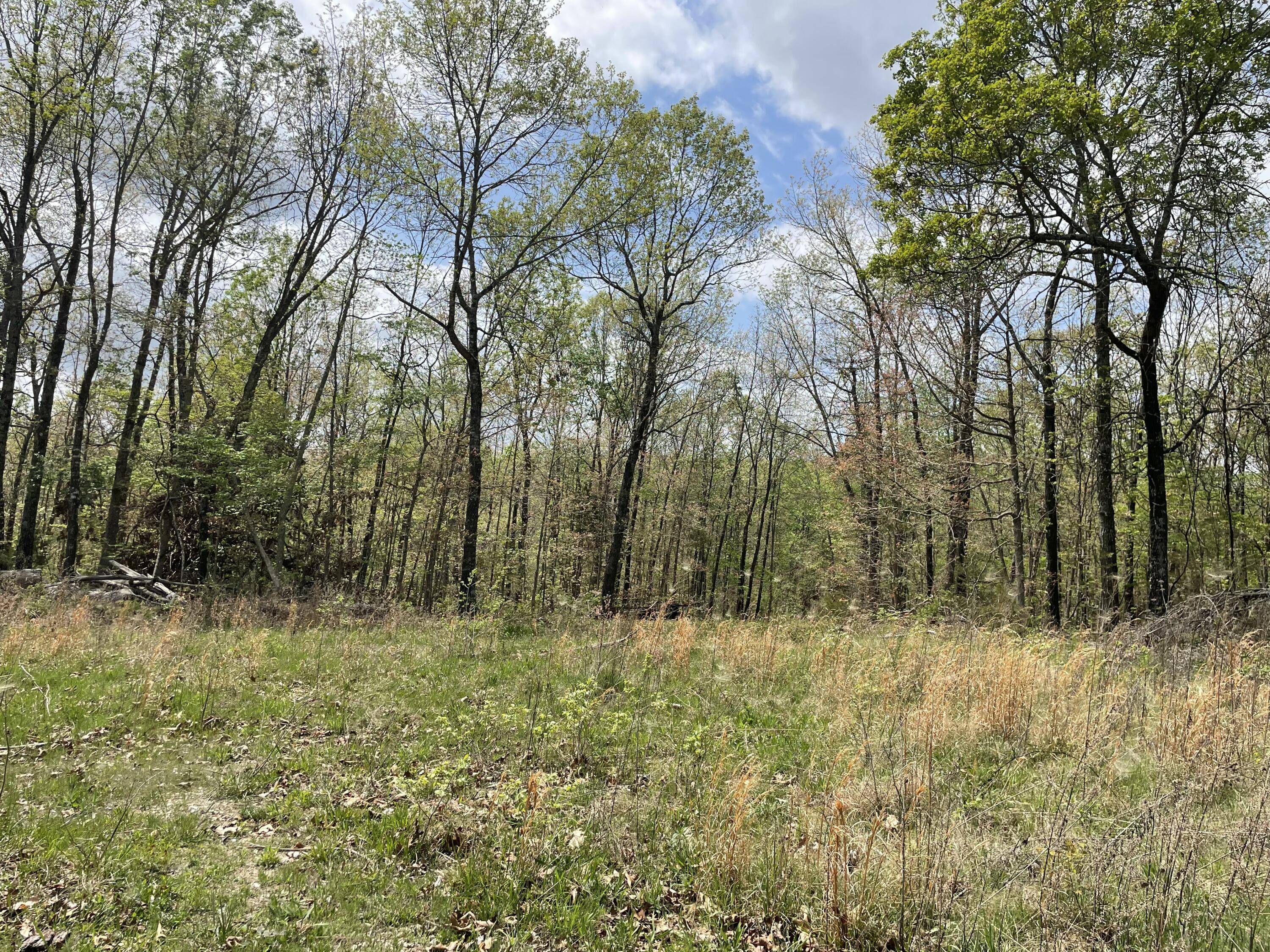 000 State Hwy N Tract B Property Photo 4