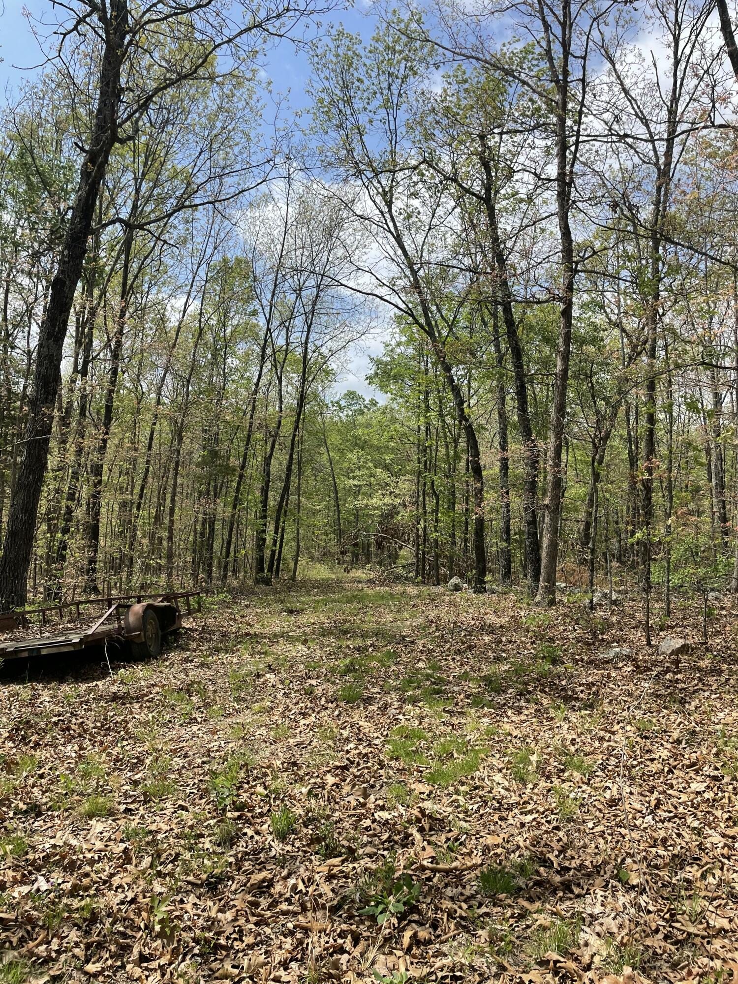 000 State Hwy N Tract B Property Photo 6