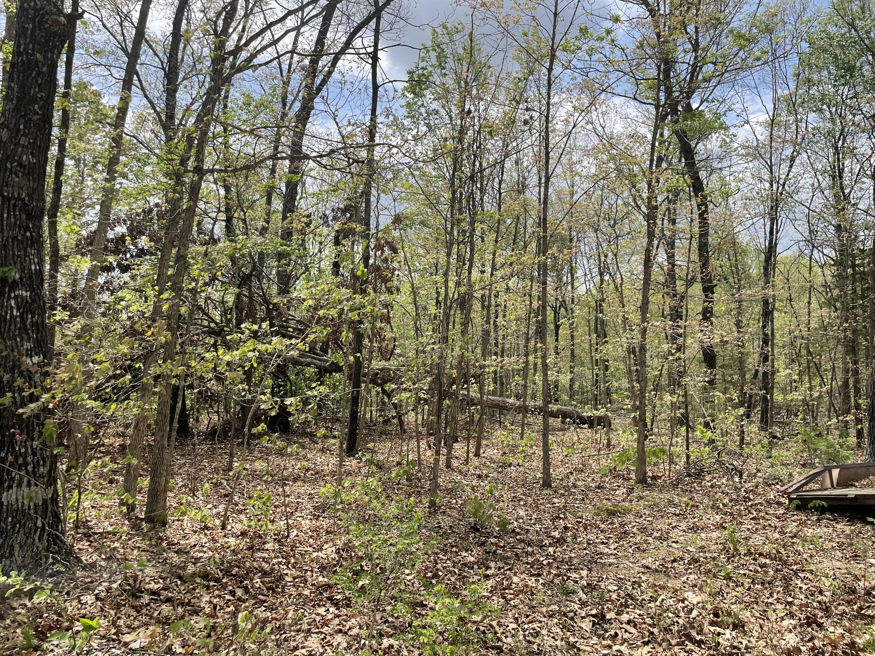 000 State Hwy N Tract B Property Photo 8