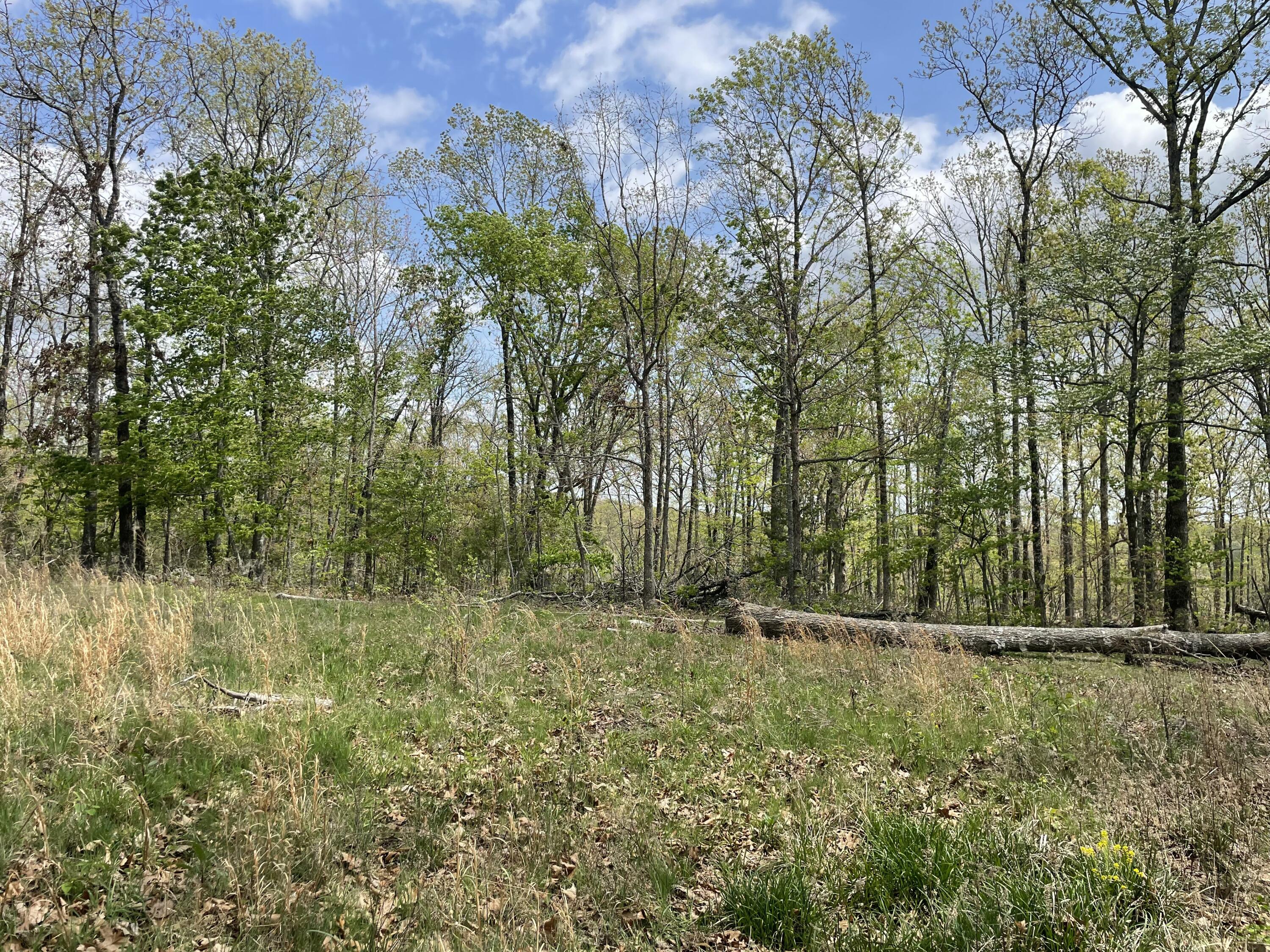 000 State Hwy N Tract B Property Photo 9