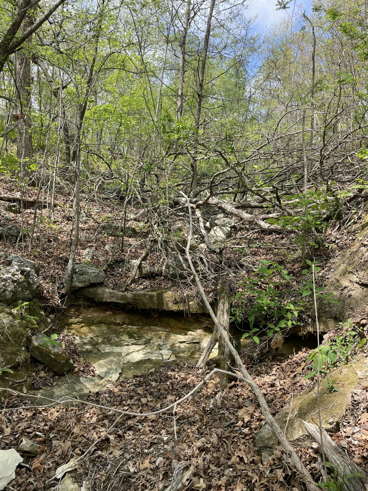 000 State Hwy N Tract B Property Photo 14