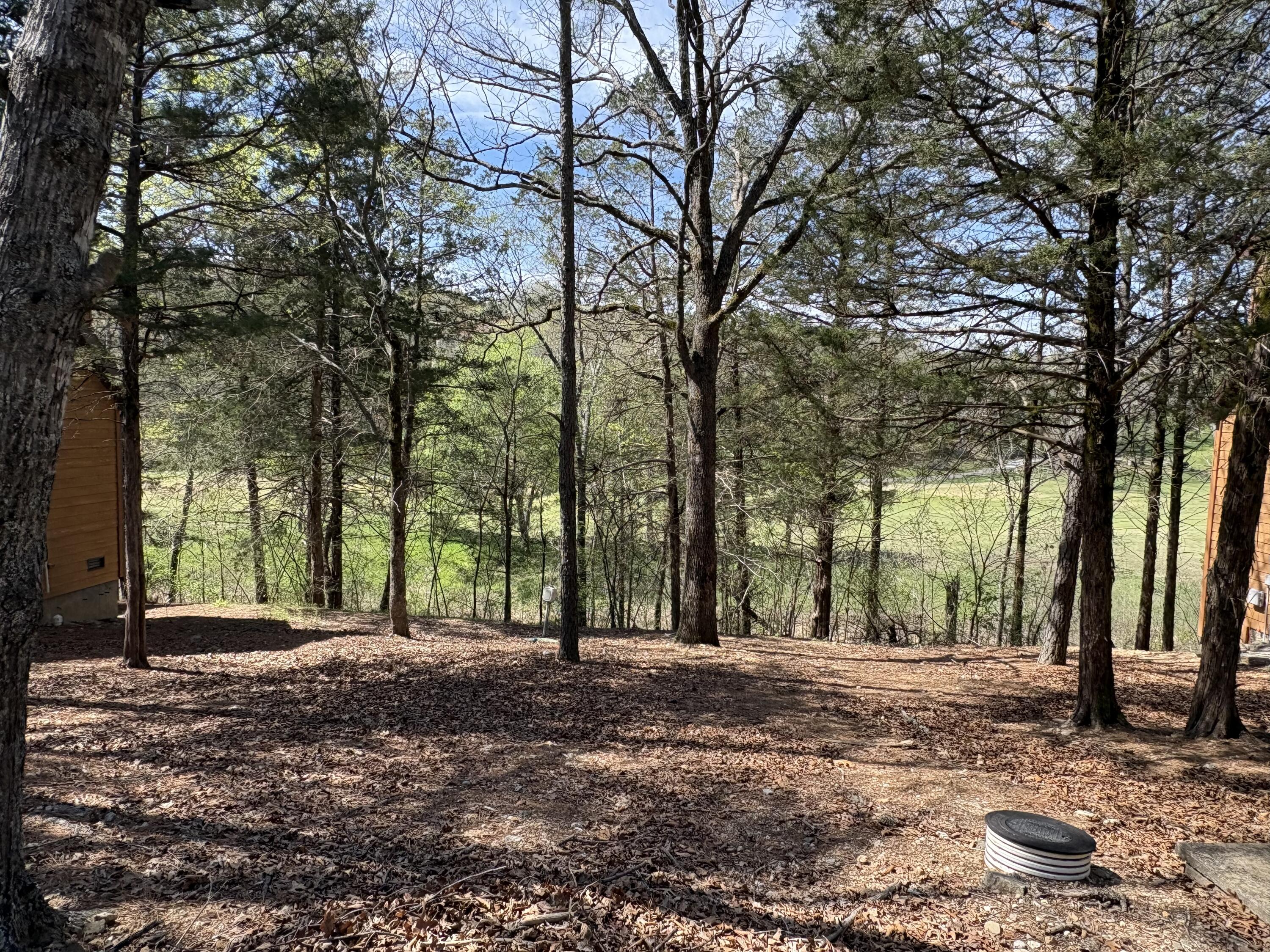 412 Baldknobber Drive Property Photo 2