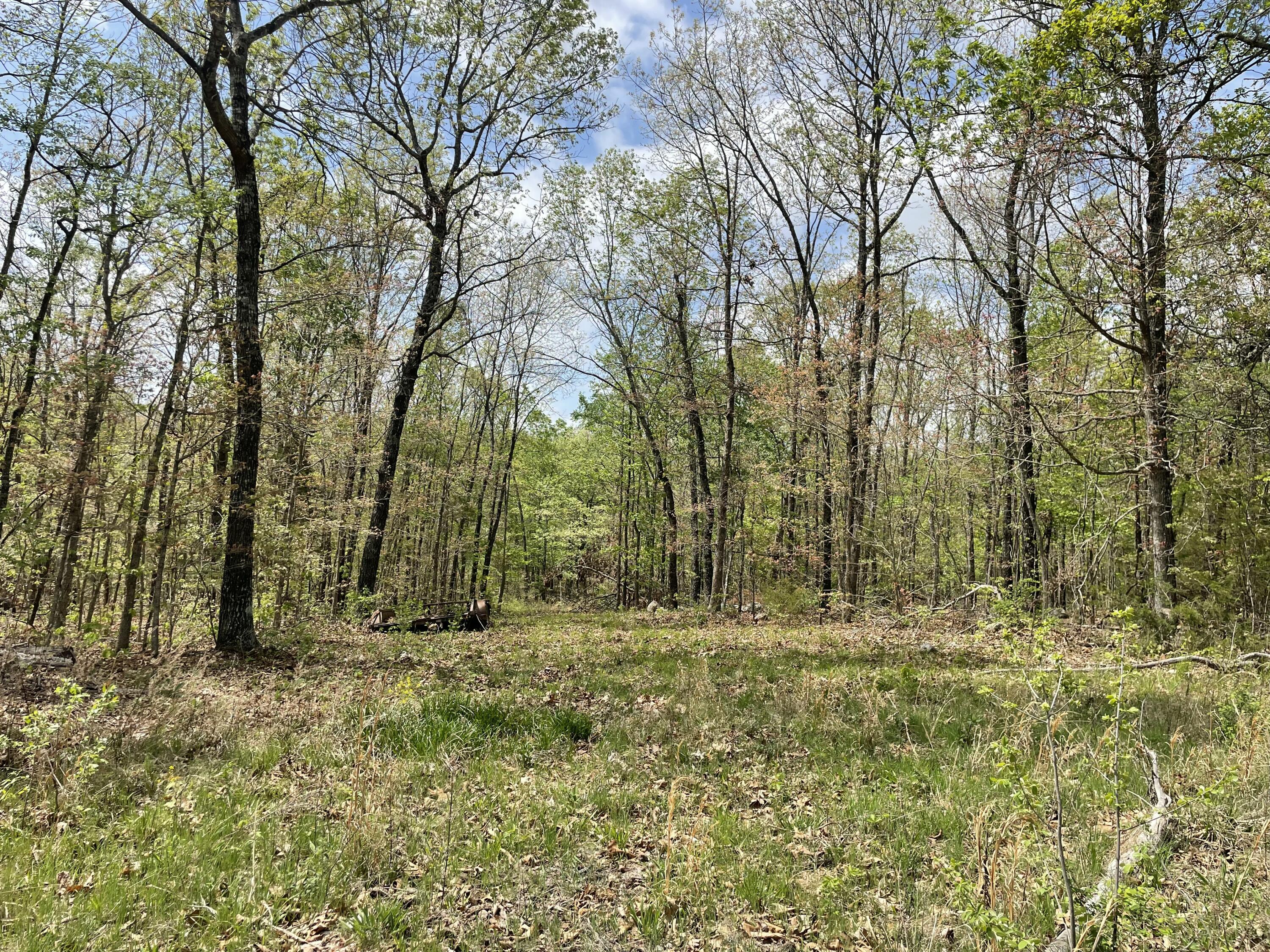 000 State Hwy N Property Photo 3
