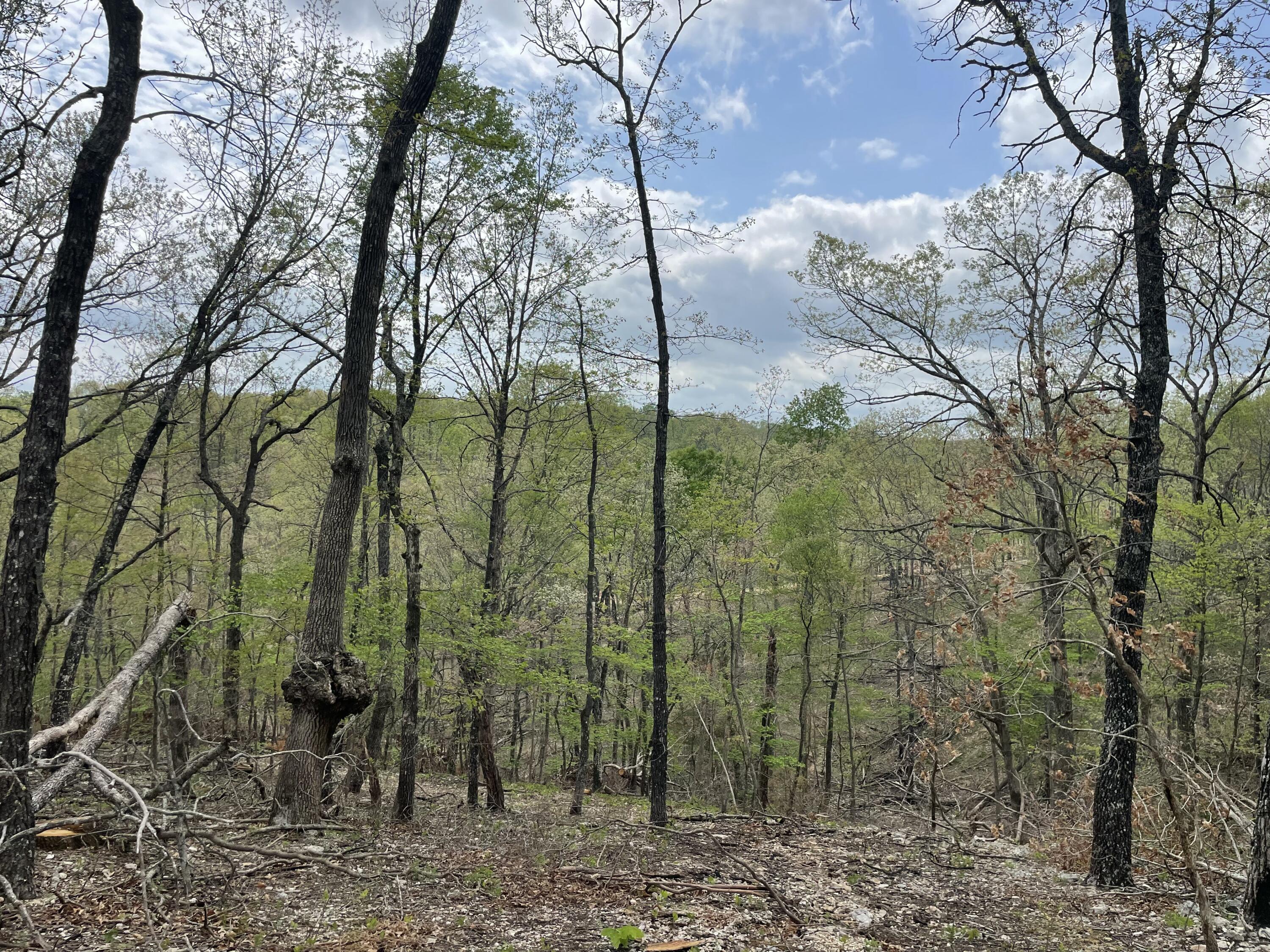 000 St. Hwy N Tract D Property Photo 12