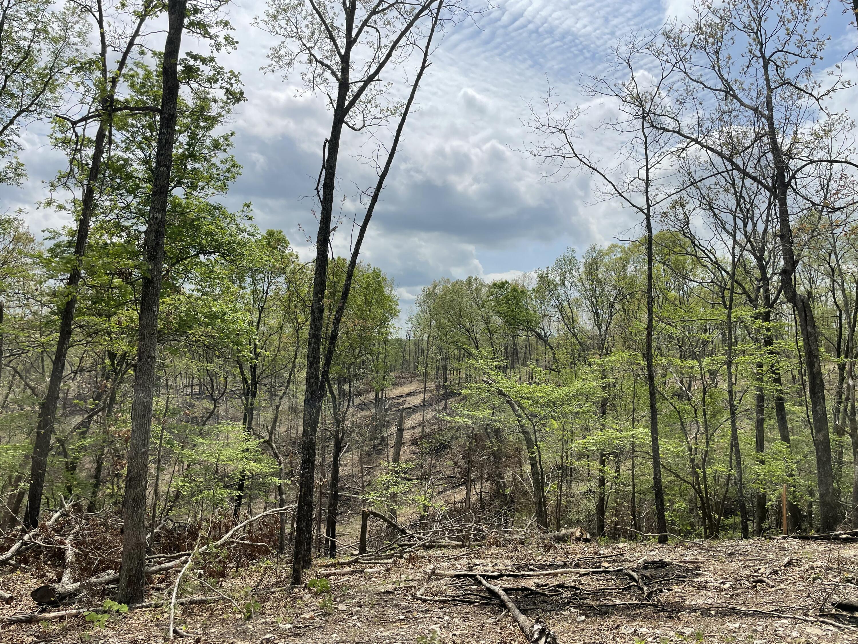 000 St Hwy N Tract E Property Photo 3