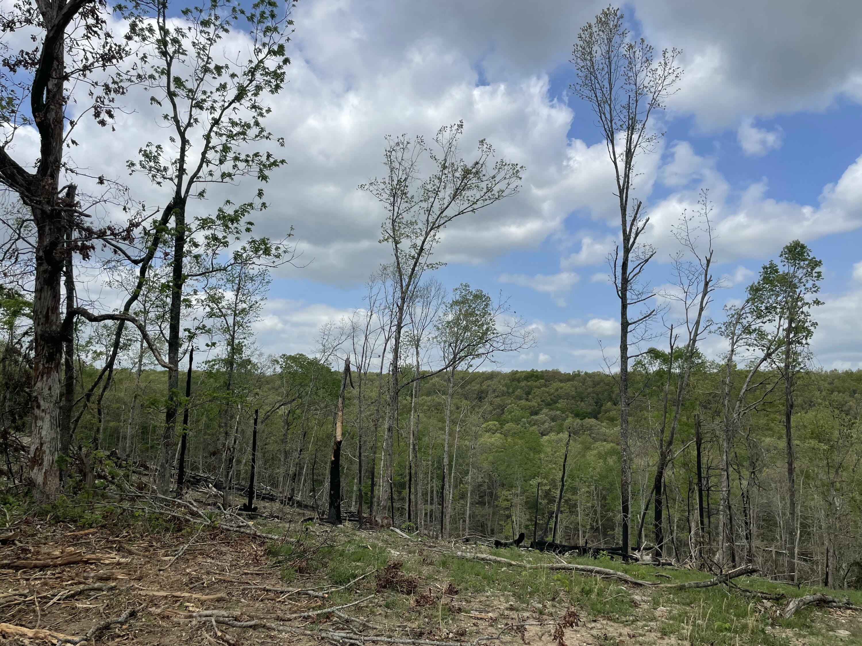 000 State Hwy N Property Photo 37