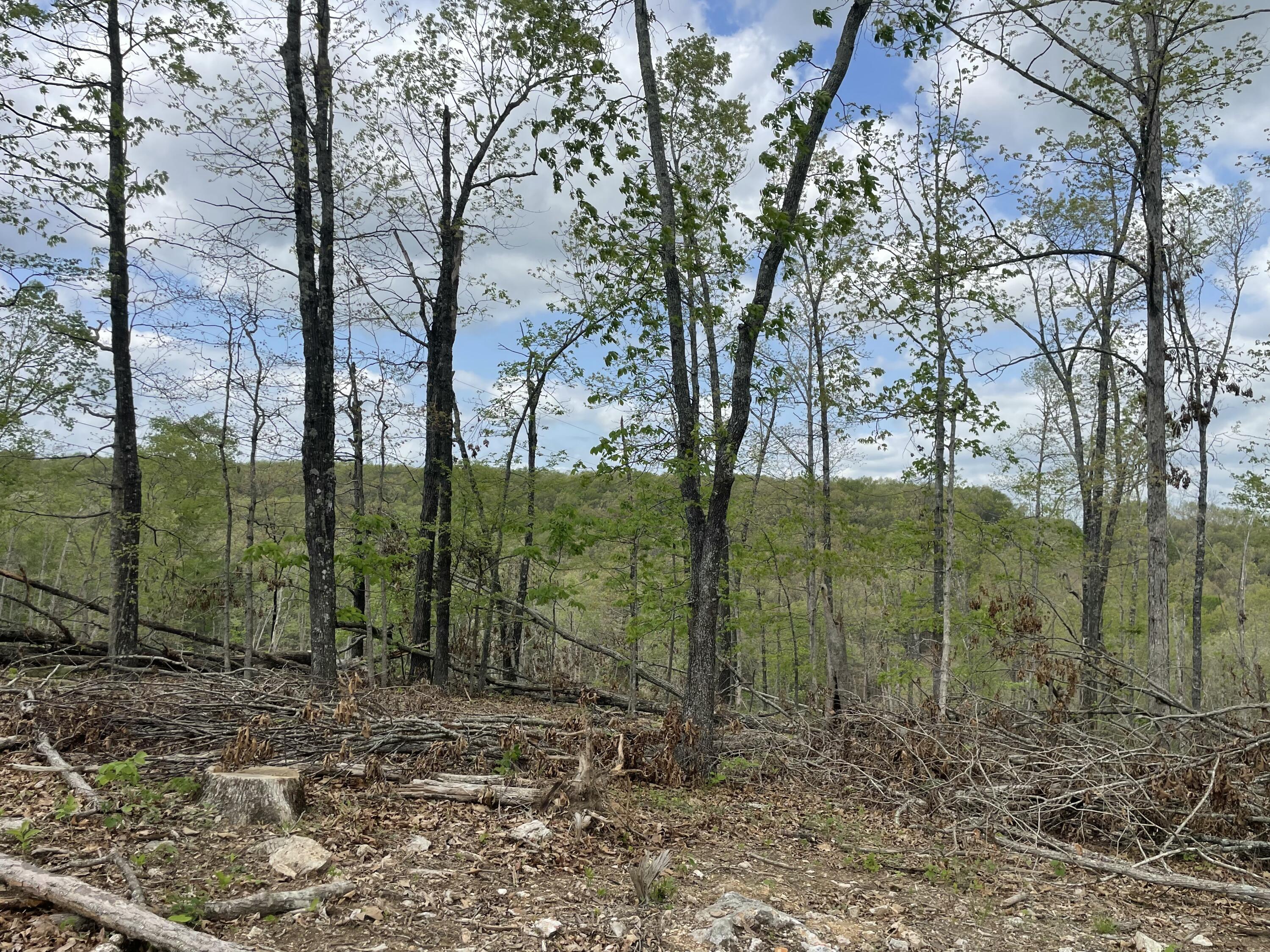 000 State Hwy N Property Photo 39