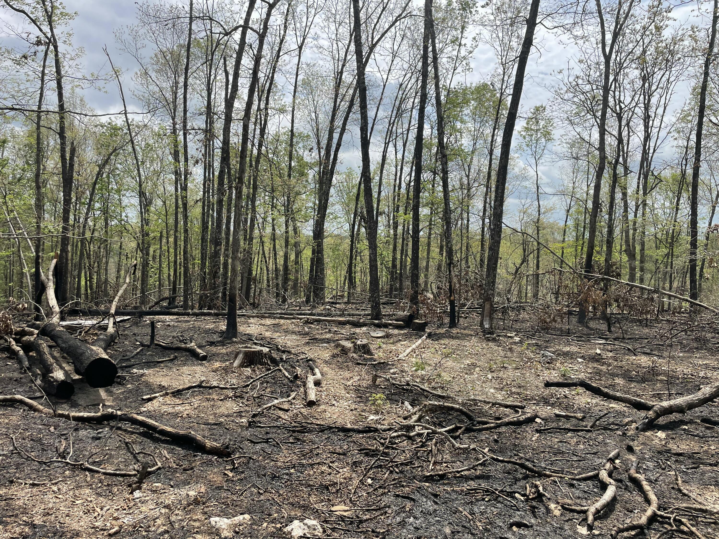000 State Hwy N Property Photo 46