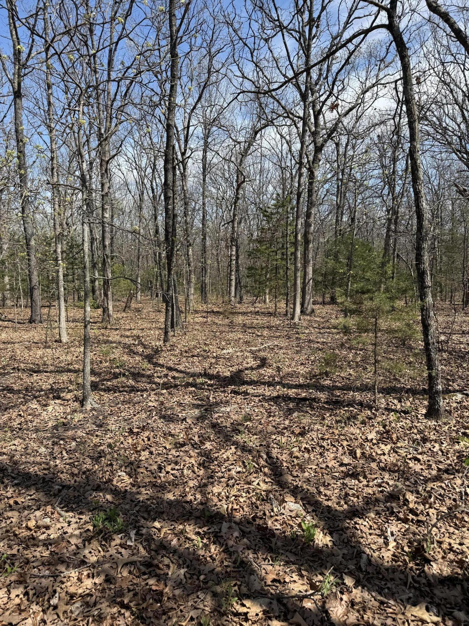 Lot 17 South 50th Road Property Photo 6
