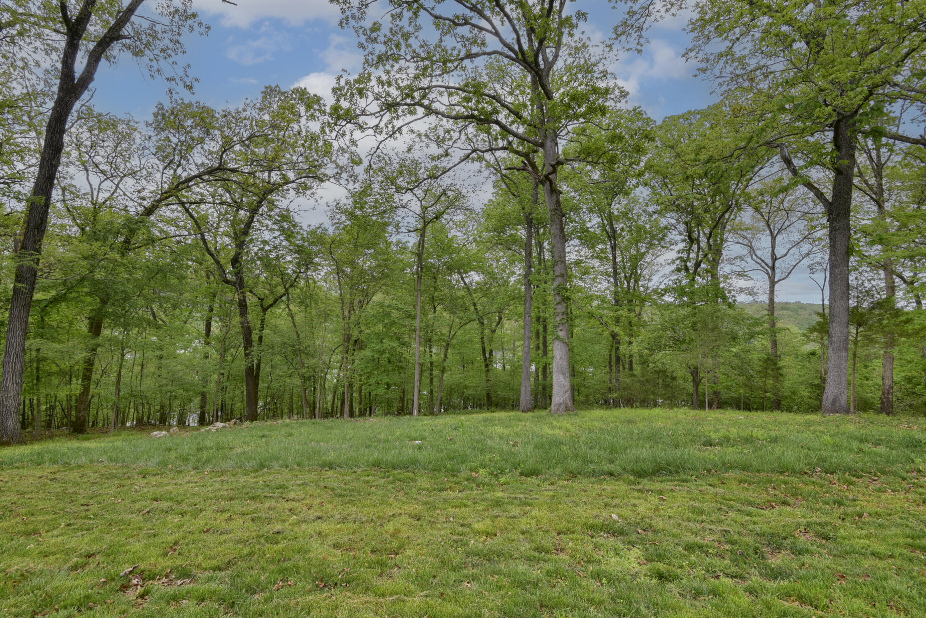 139 Palasade Court Property Photo 35