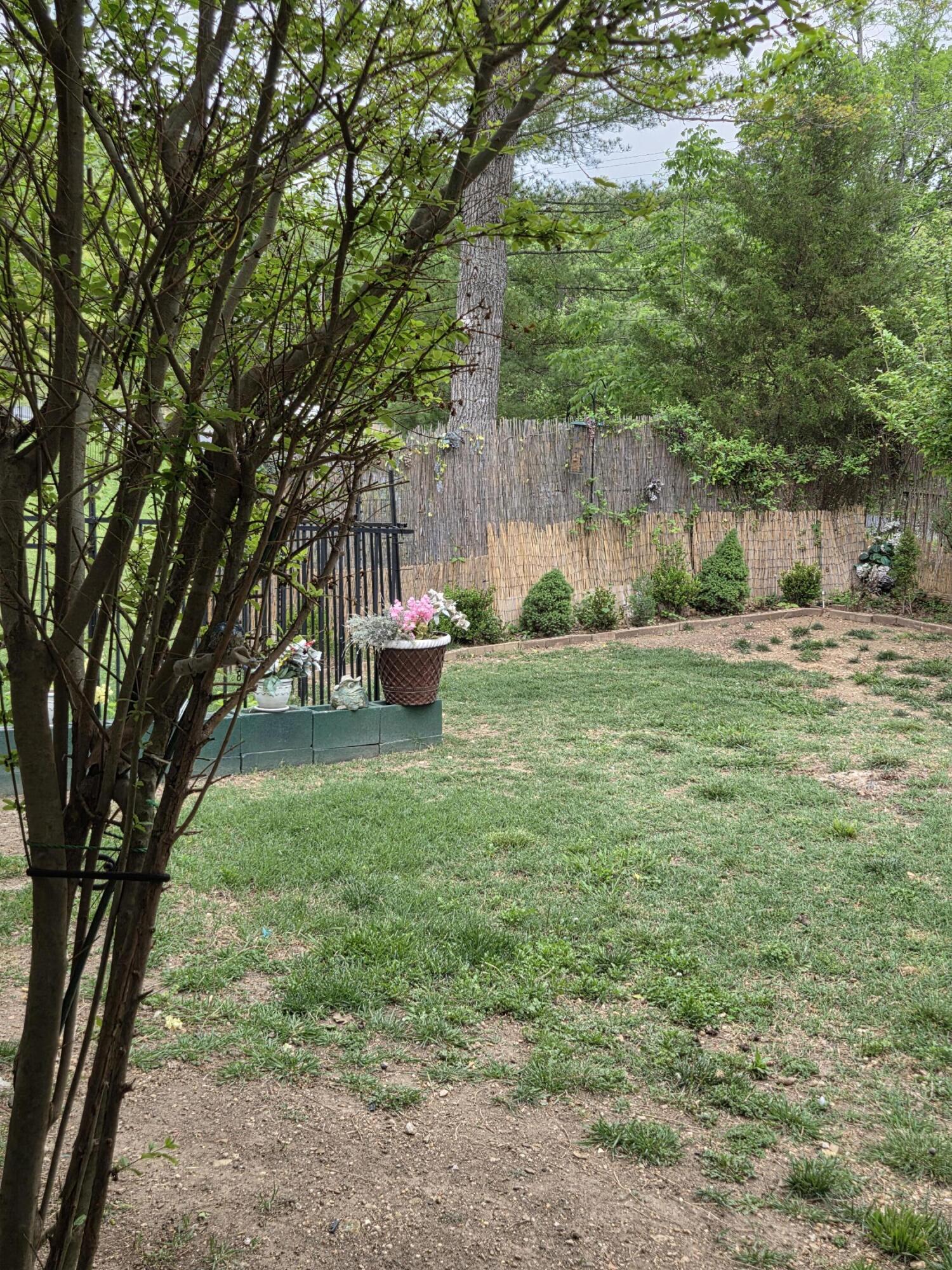 131 Birchwood Circle Property Photo 15
