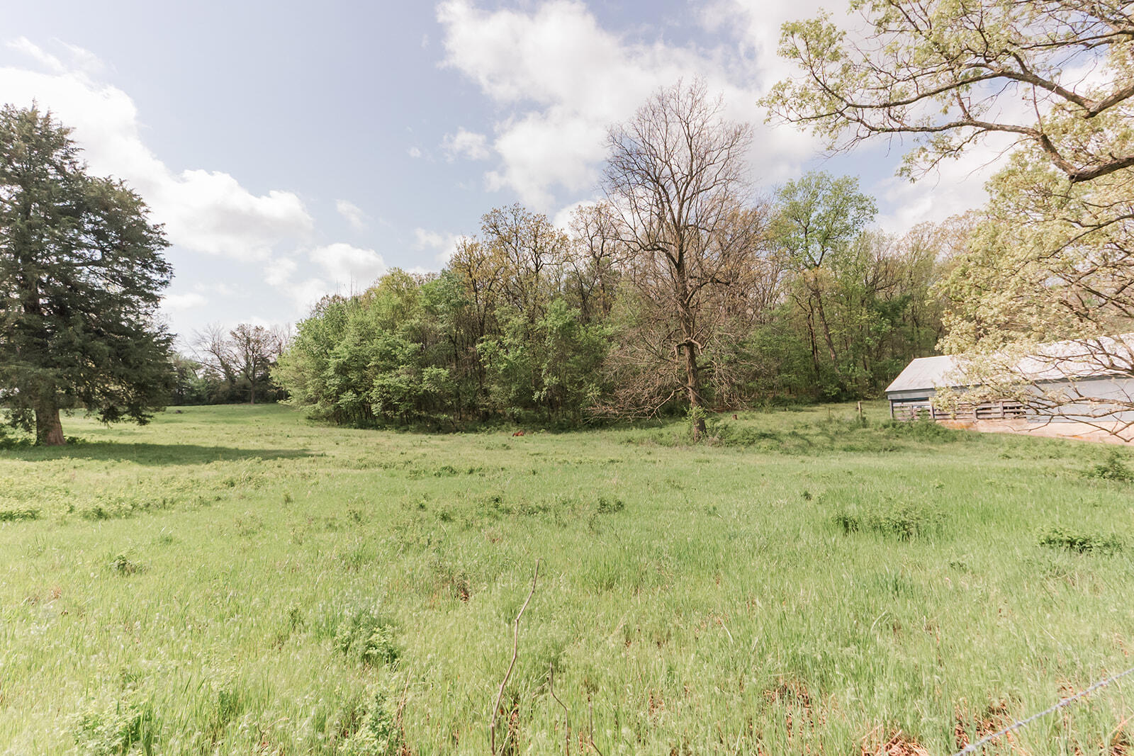 5423 South 226th Road Property Photo 44