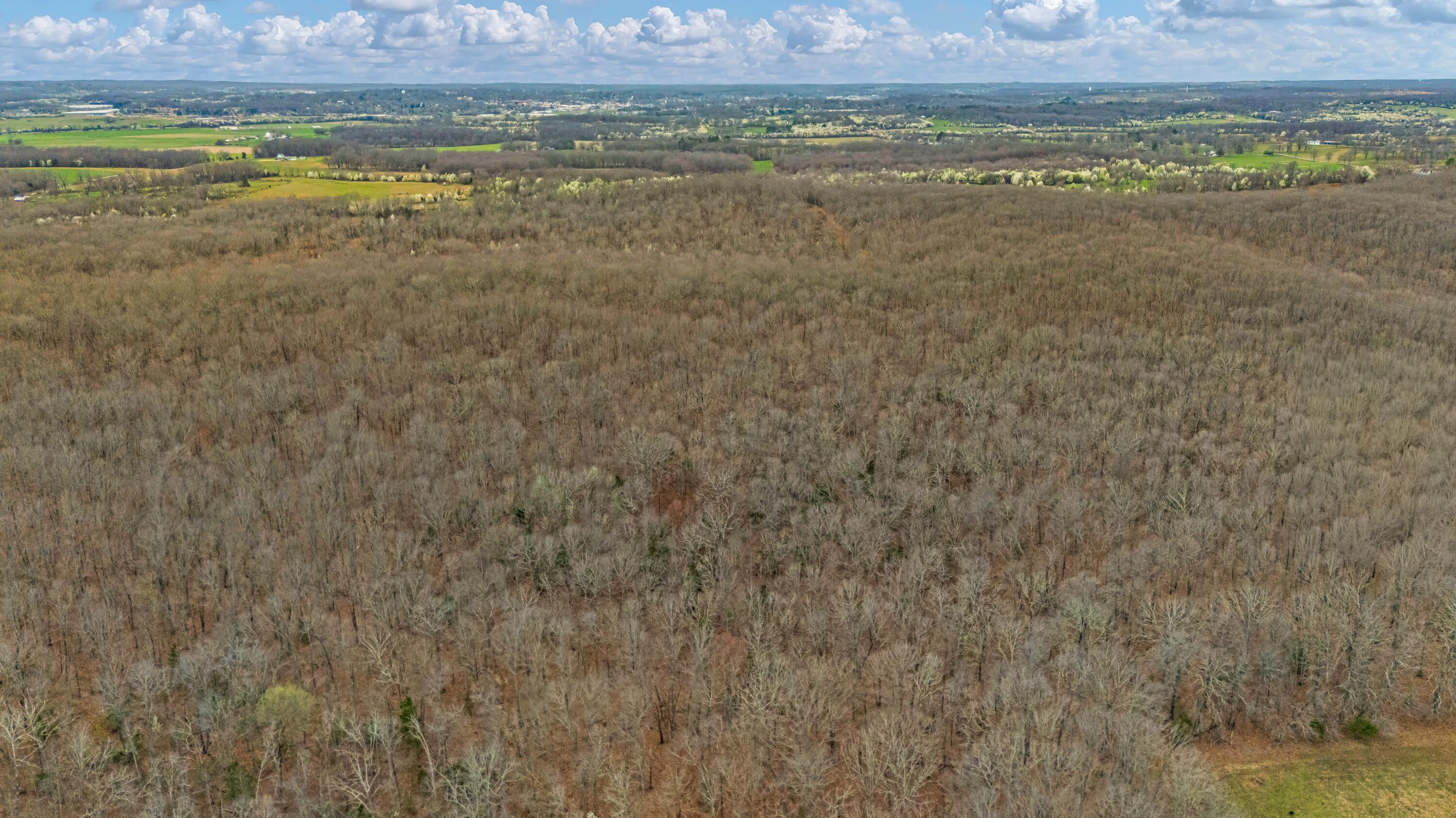 0003 County Road 8200 Property Photo 6