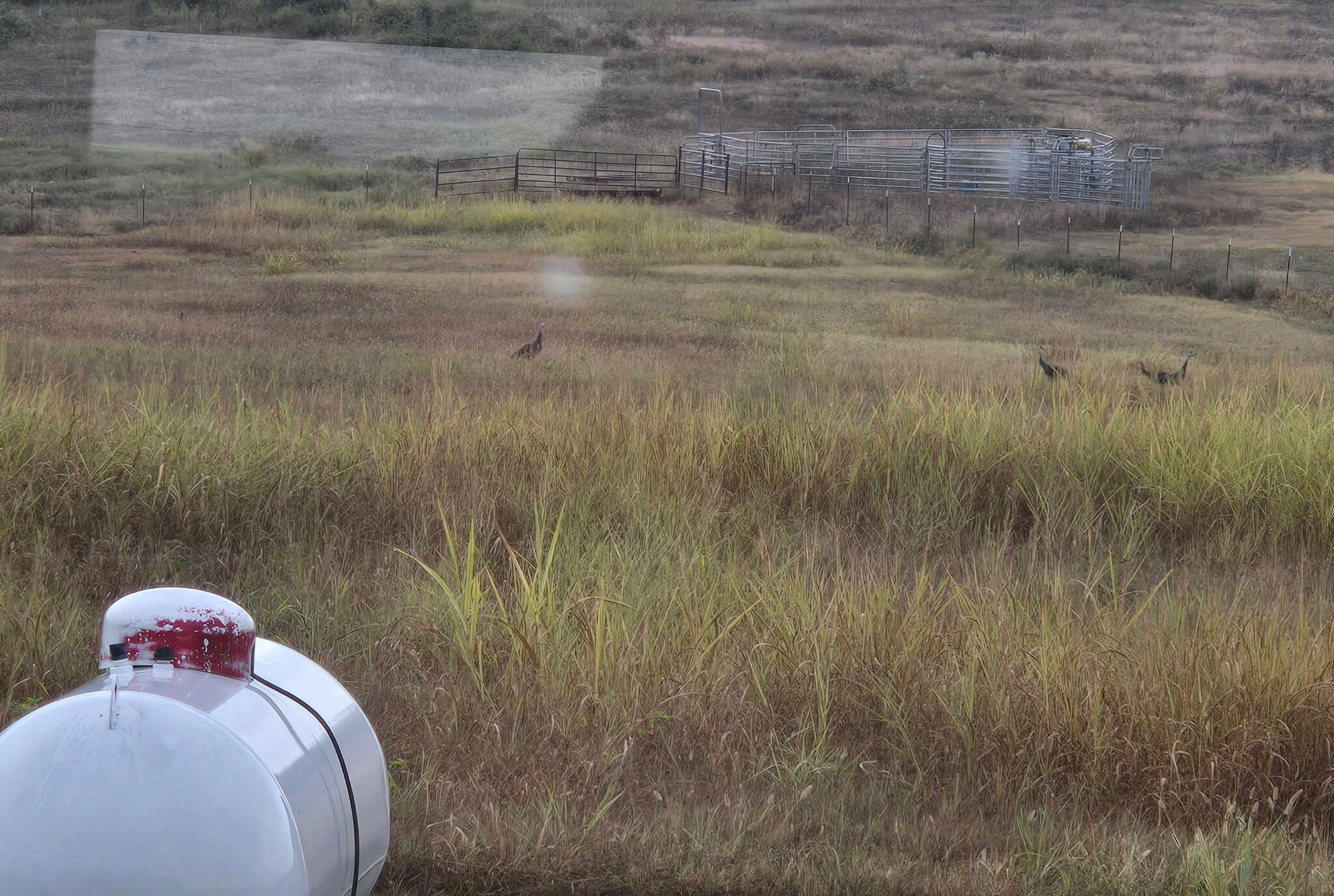 9 Meal Ranch Road Property Photo 61