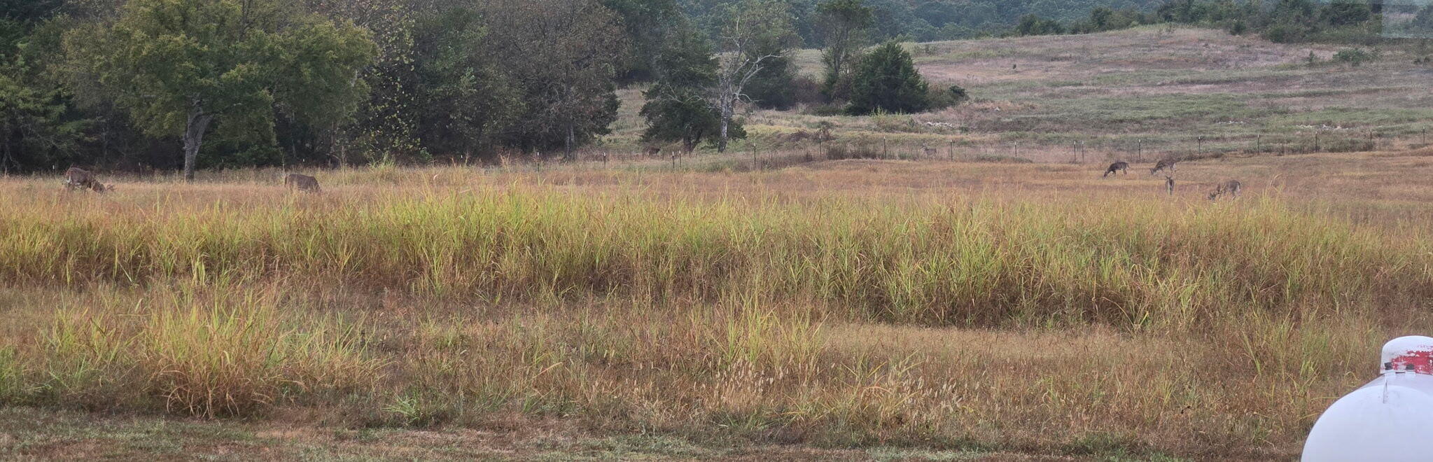 9 Meal Ranch Road Property Photo 62
