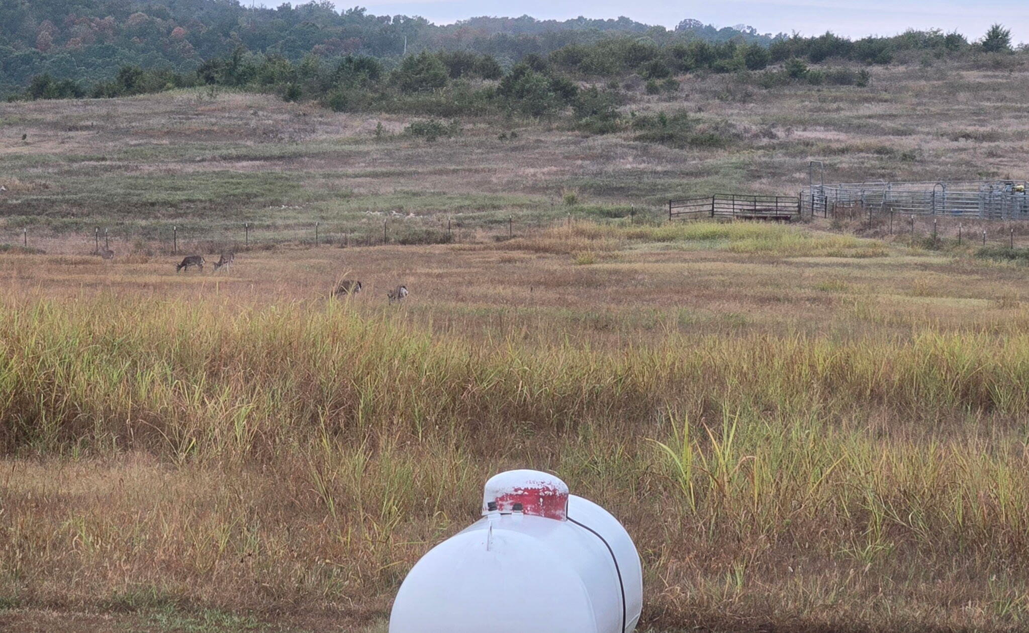 9 Meal Ranch Road Property Photo 63