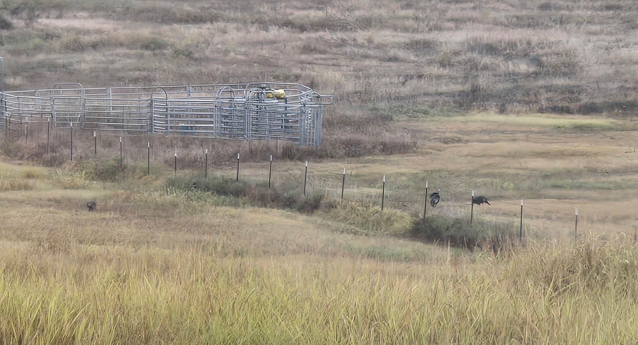 9 Meal Ranch Road Property Photo 64