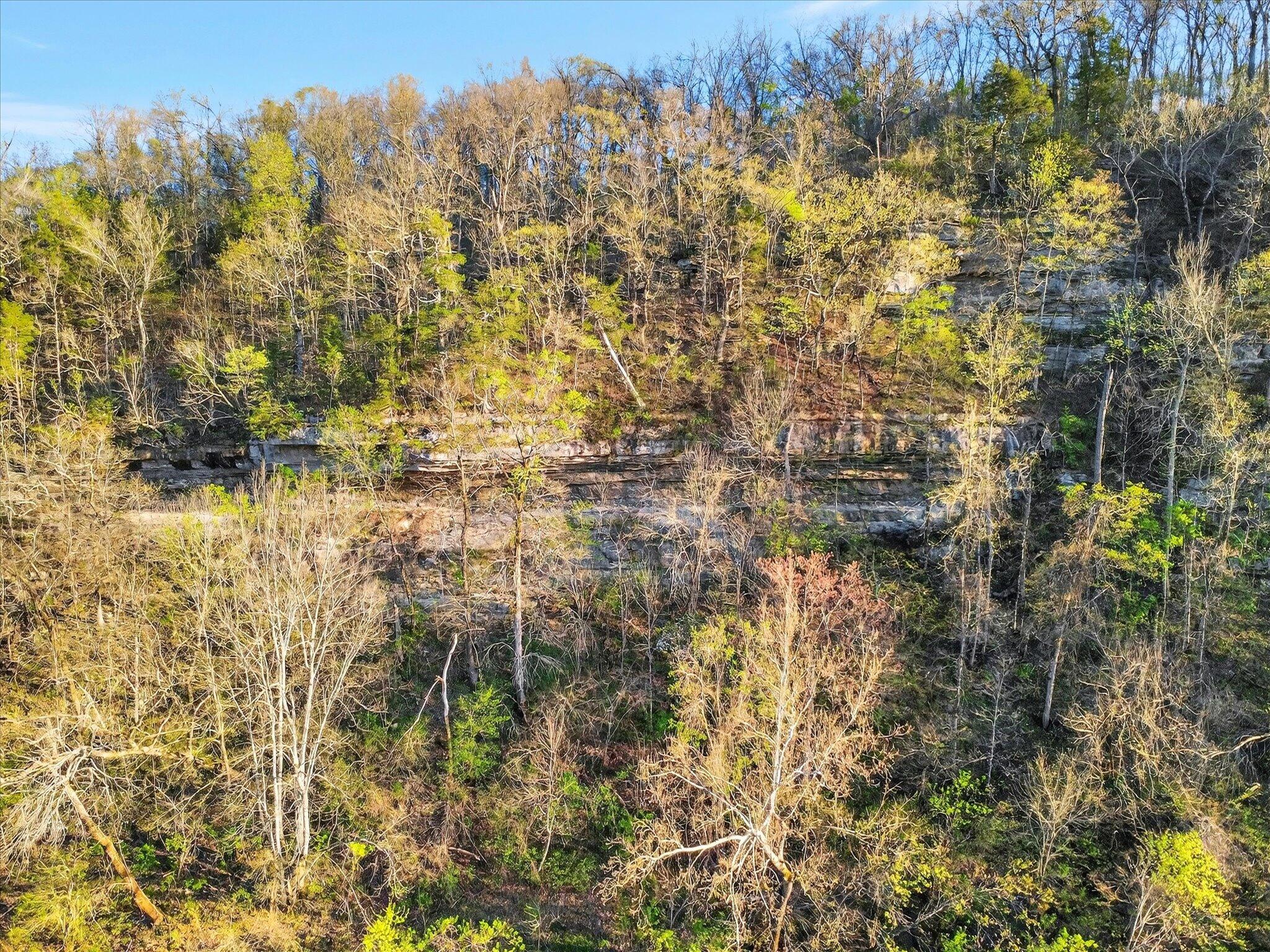 1211 Cox Ford Road Property Photo 79