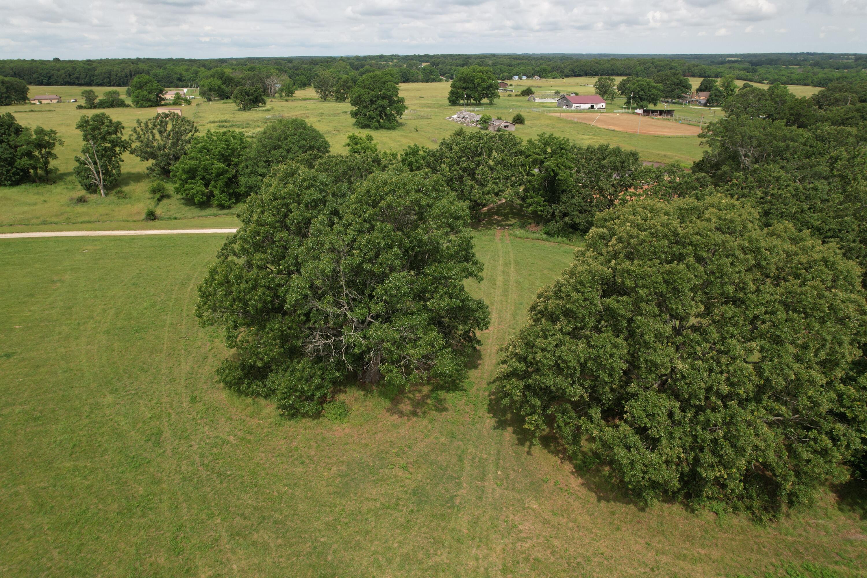 Tract 1 0000 Private Road 1184 Property Photo 11