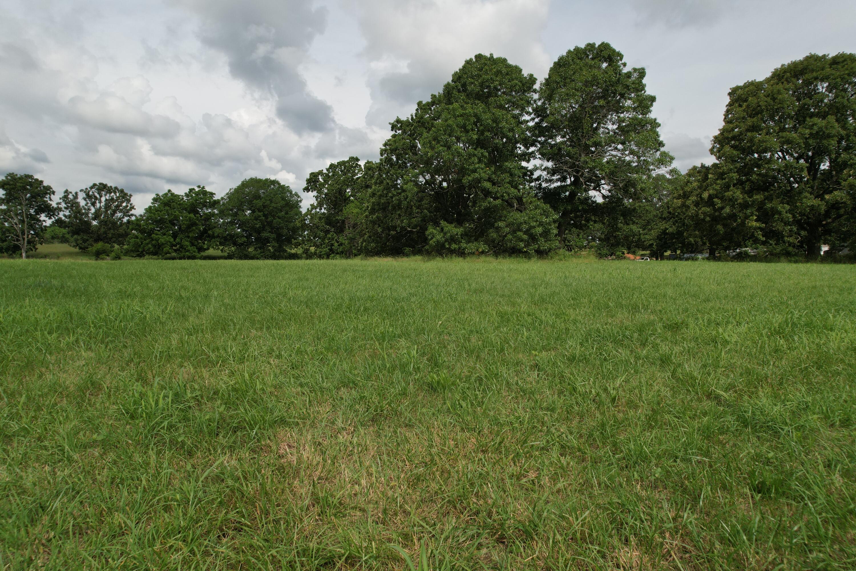 Tract 1 0000 Private Road 1184 Property Photo 31
