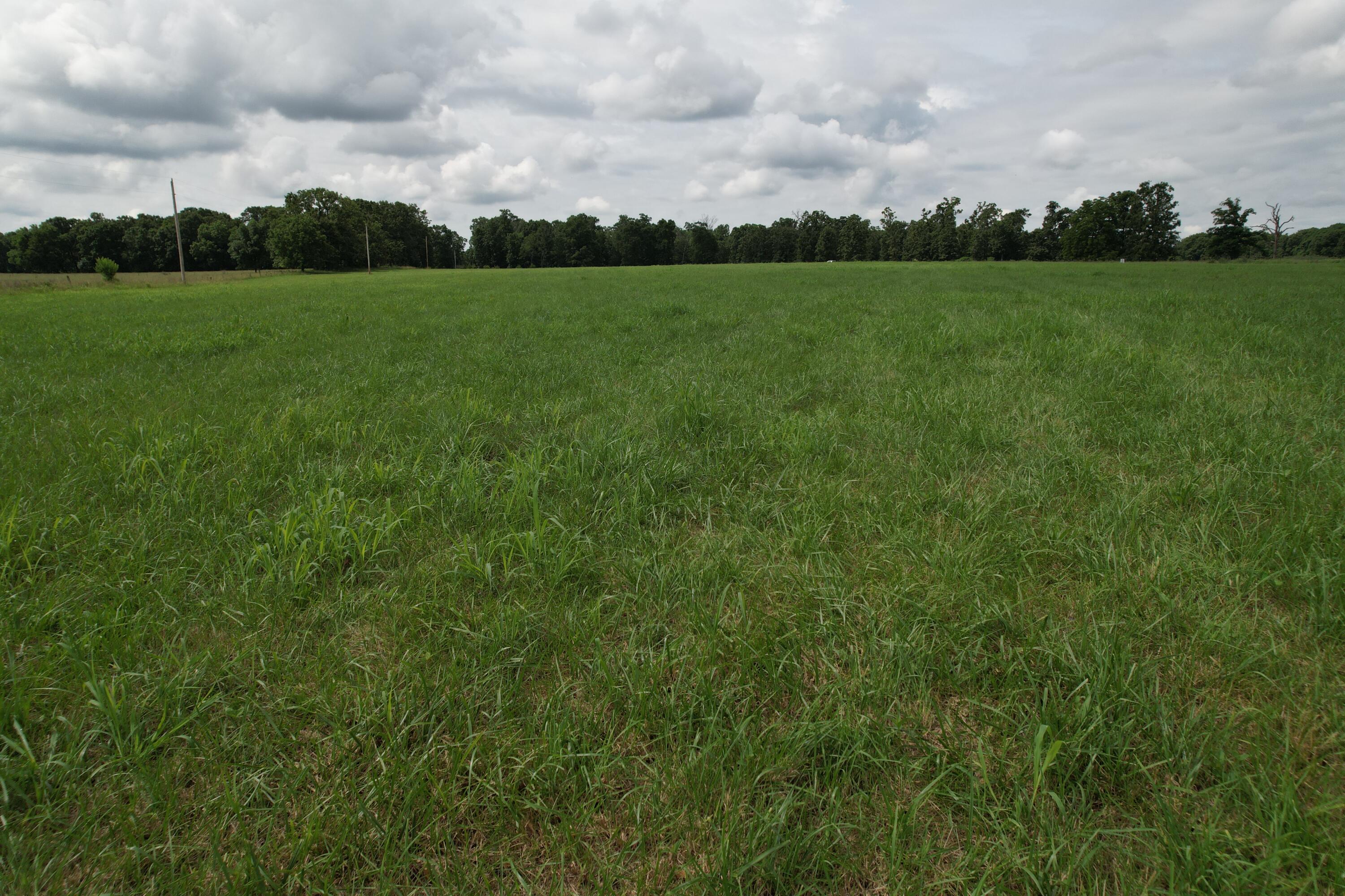 Tract 1 0000 Private Road 1184 Property Photo 33