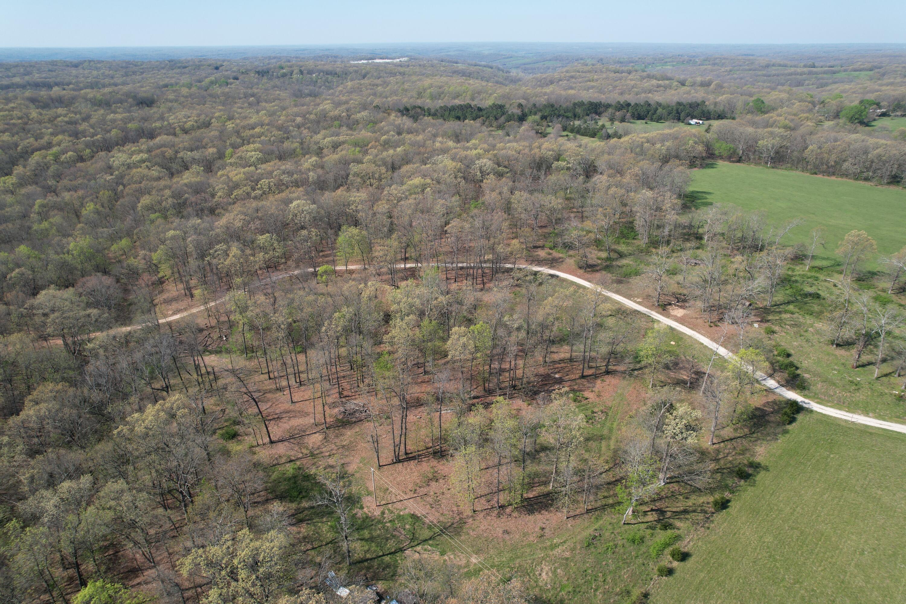 Tract 4 0000 Private Road 1184 Property Photo 5
