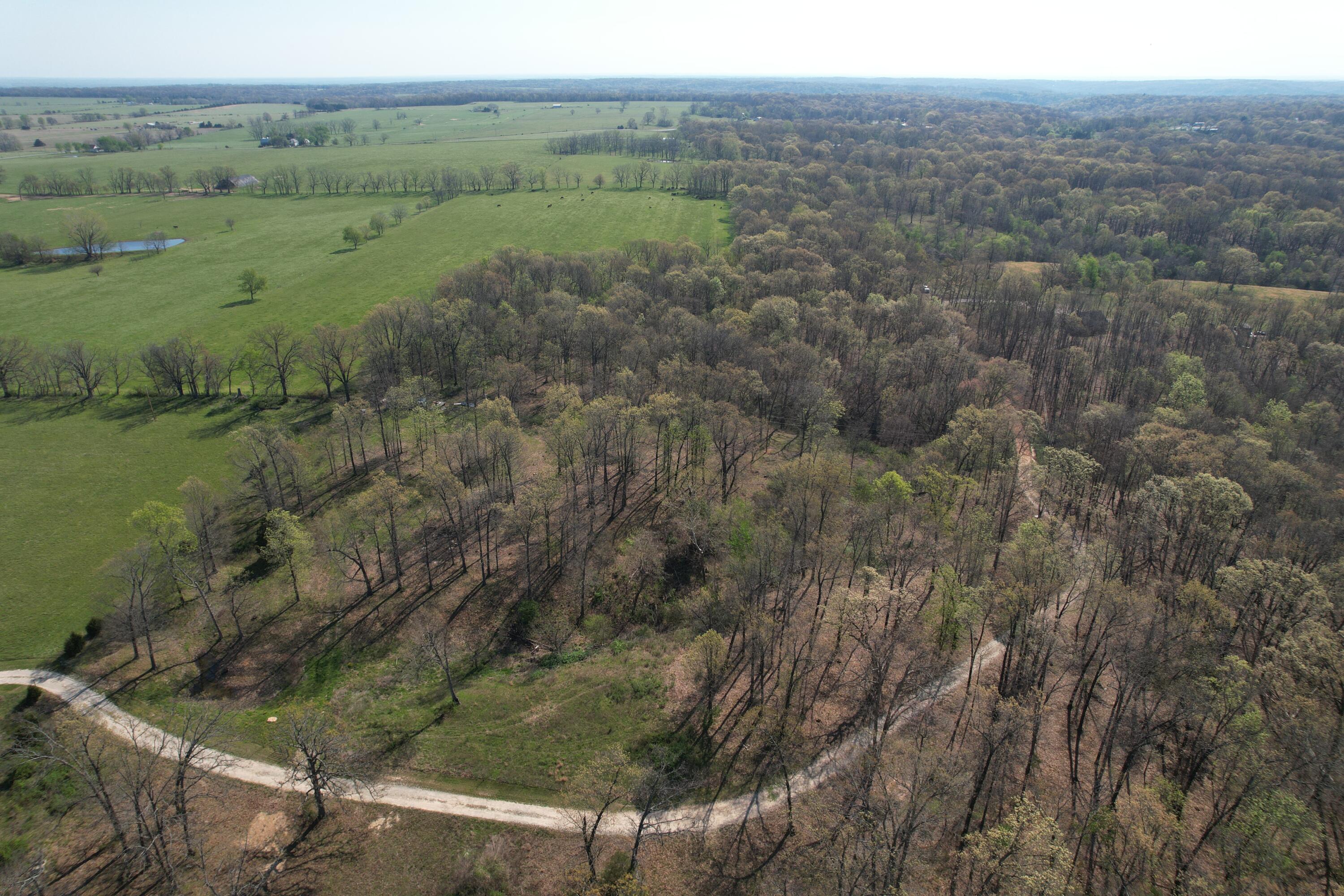 Tract 4 0000 Private Road 1184 Property Photo 6
