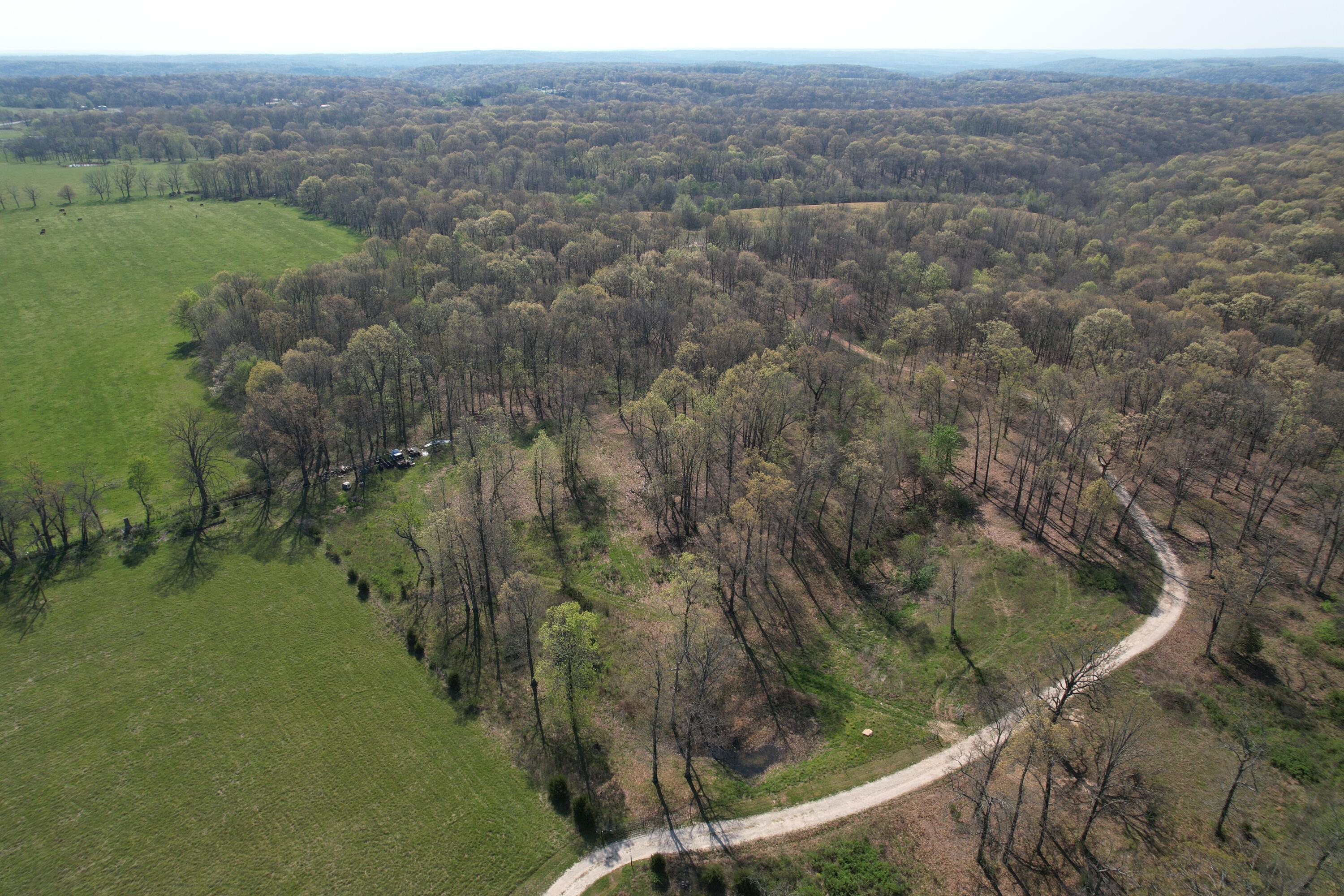 Tract 4 0000 Private Road 1184 Property Photo 7