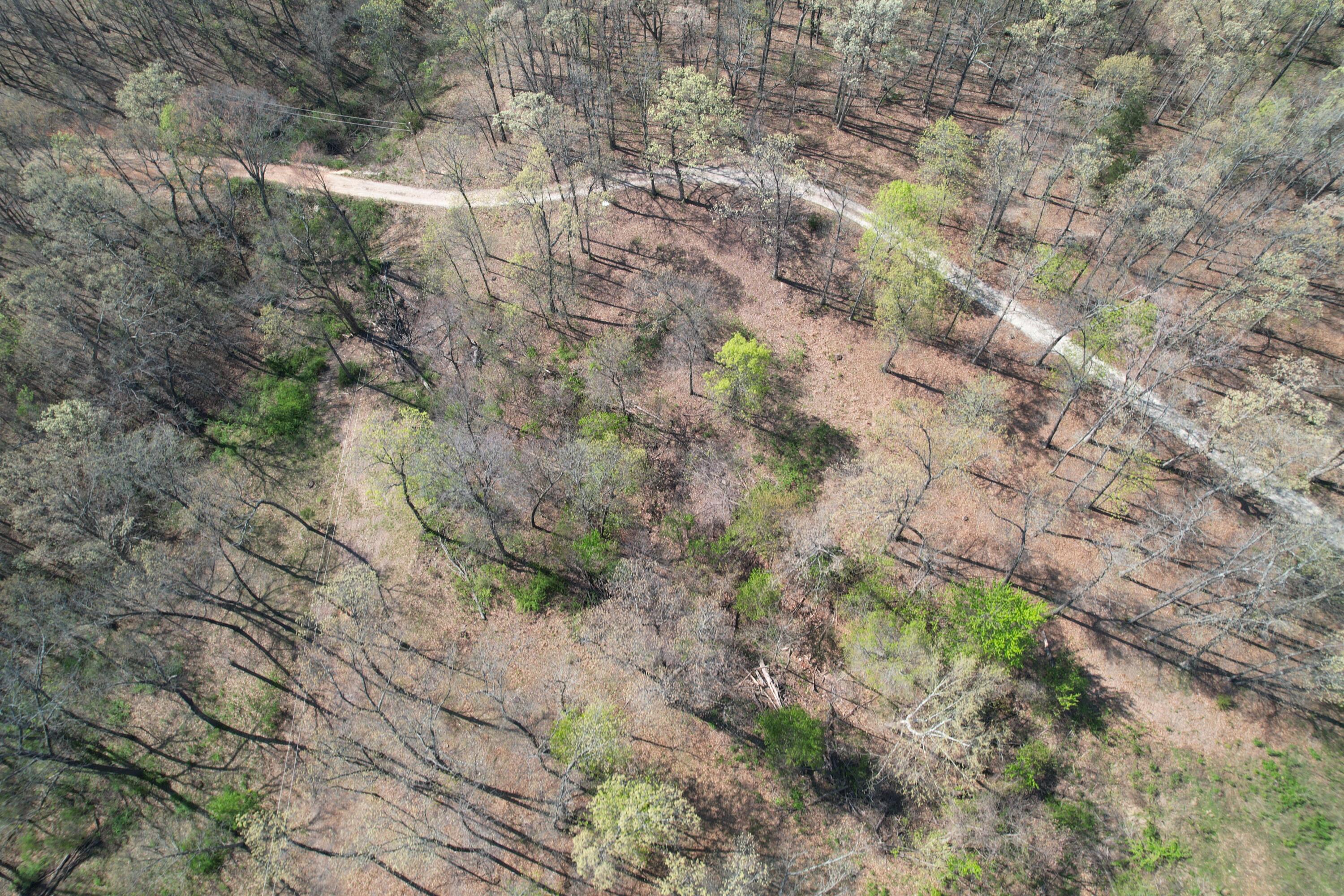 Tract 4 0000 Private Road 1184 Property Photo 9